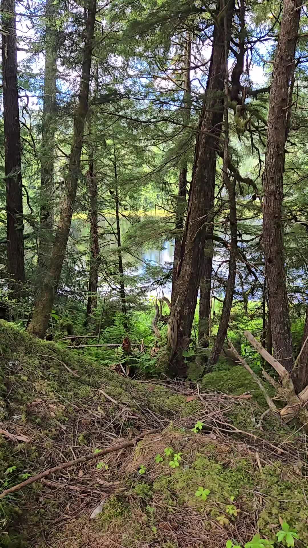 @Alaska's jim stone living wild