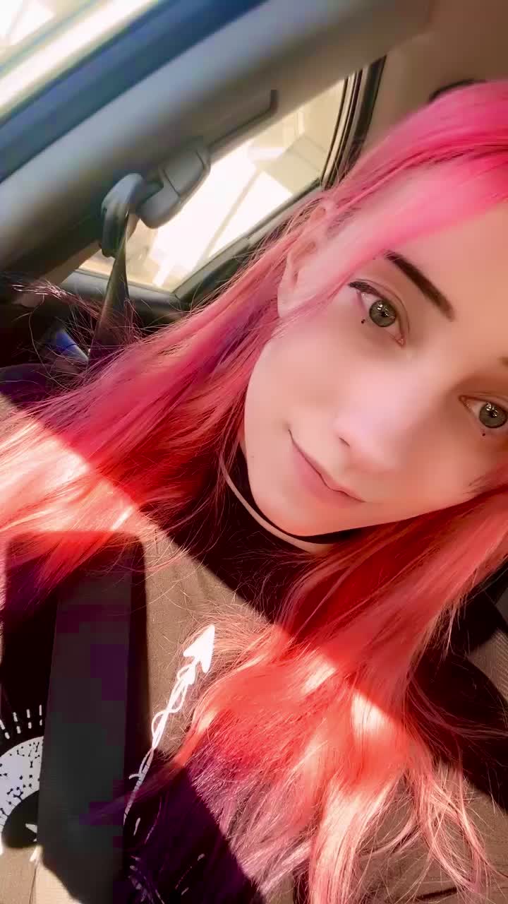 @Meerkat