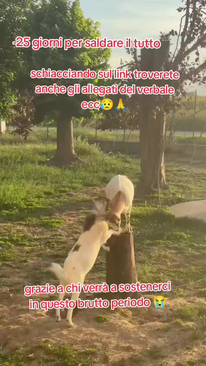 @KIRA❤️LEYLA💙