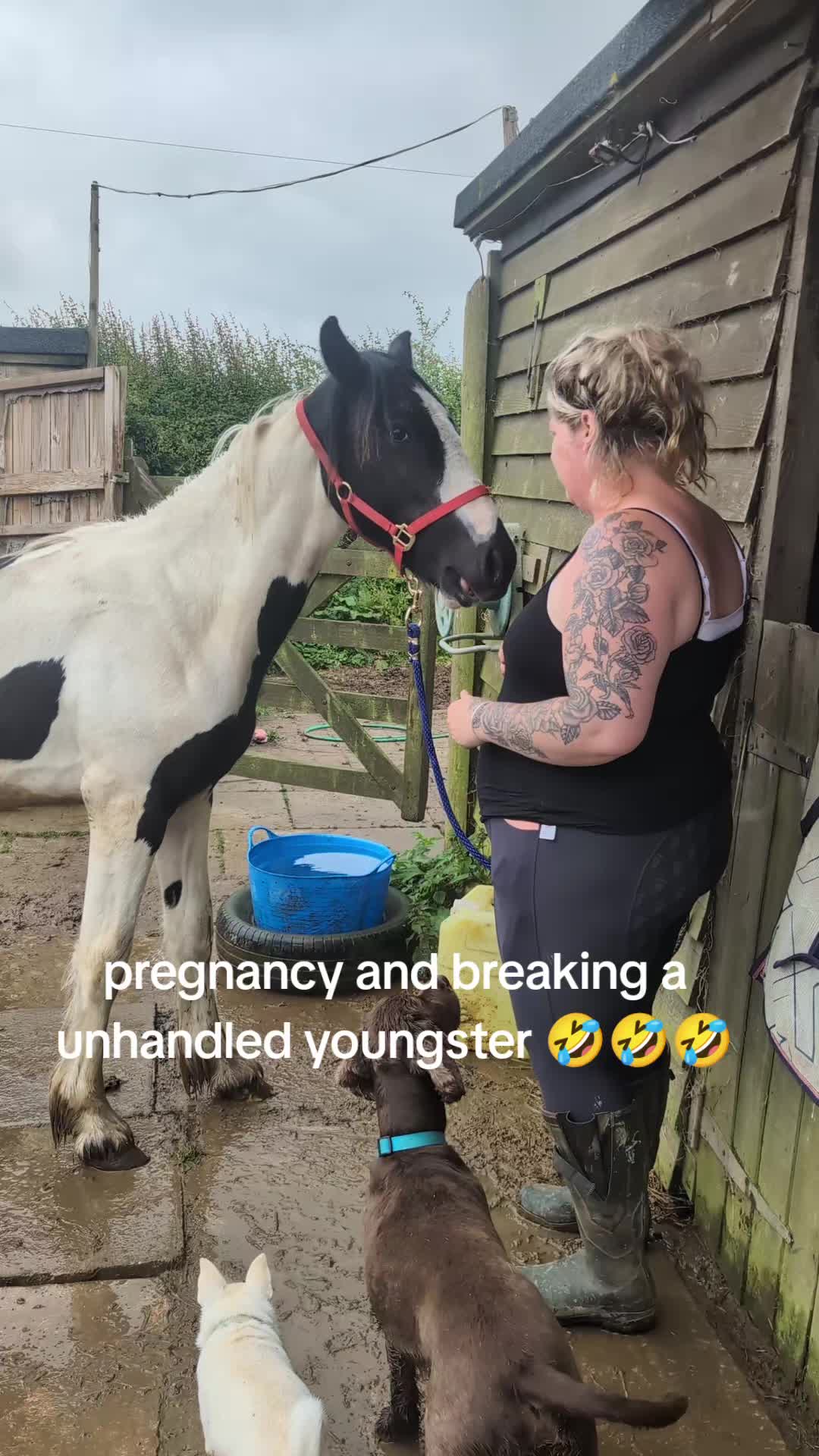 @bethknox098