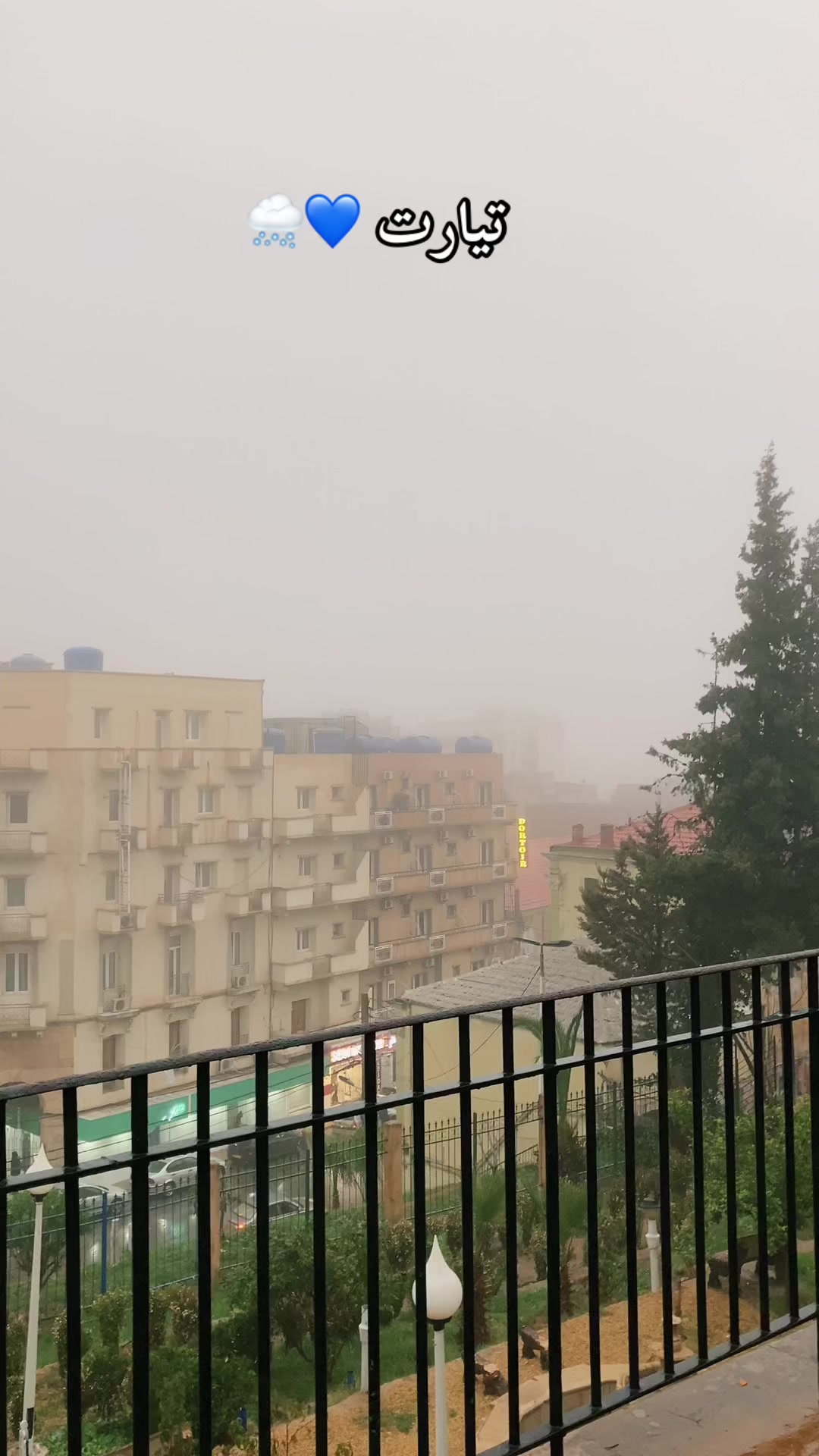 @Tiaret.ville