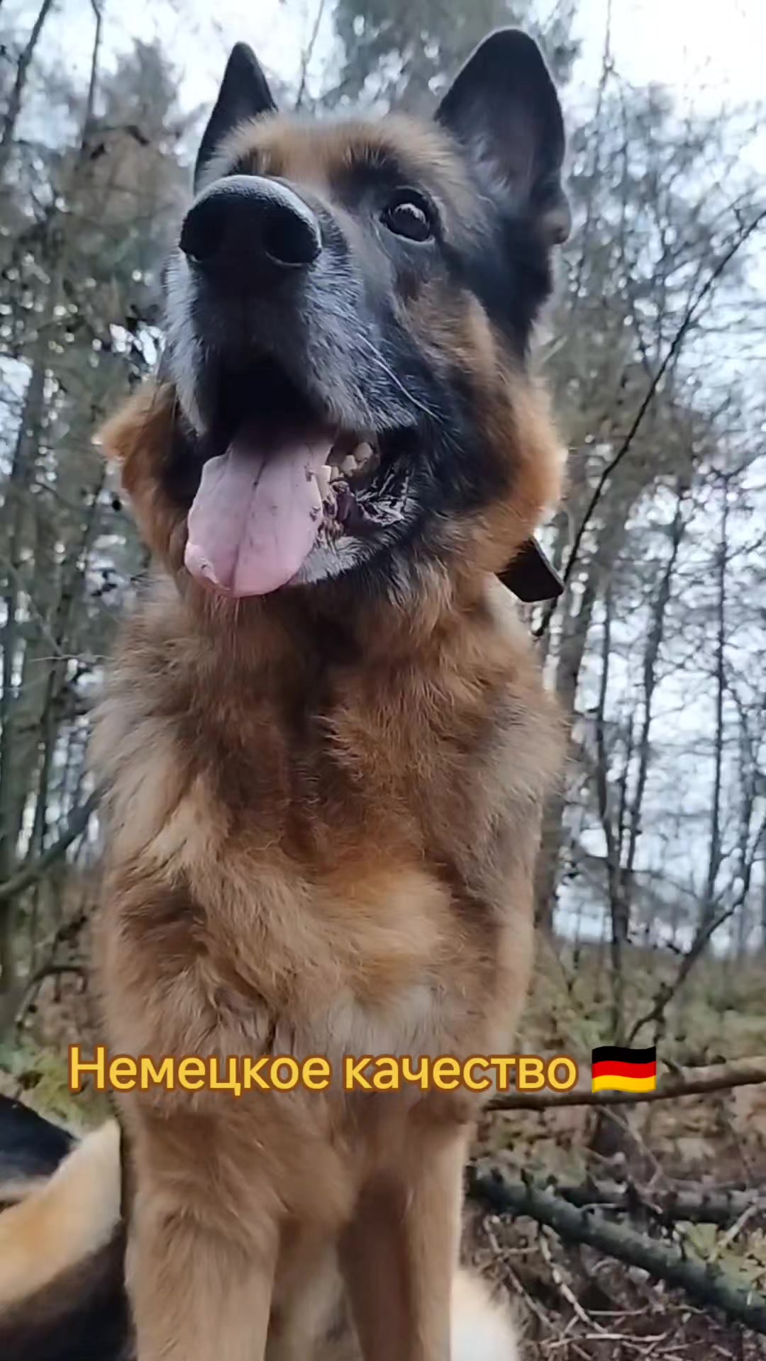 @oskar_mrpl