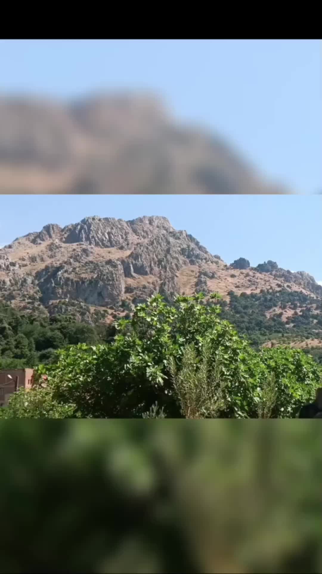 @kabyle-dz