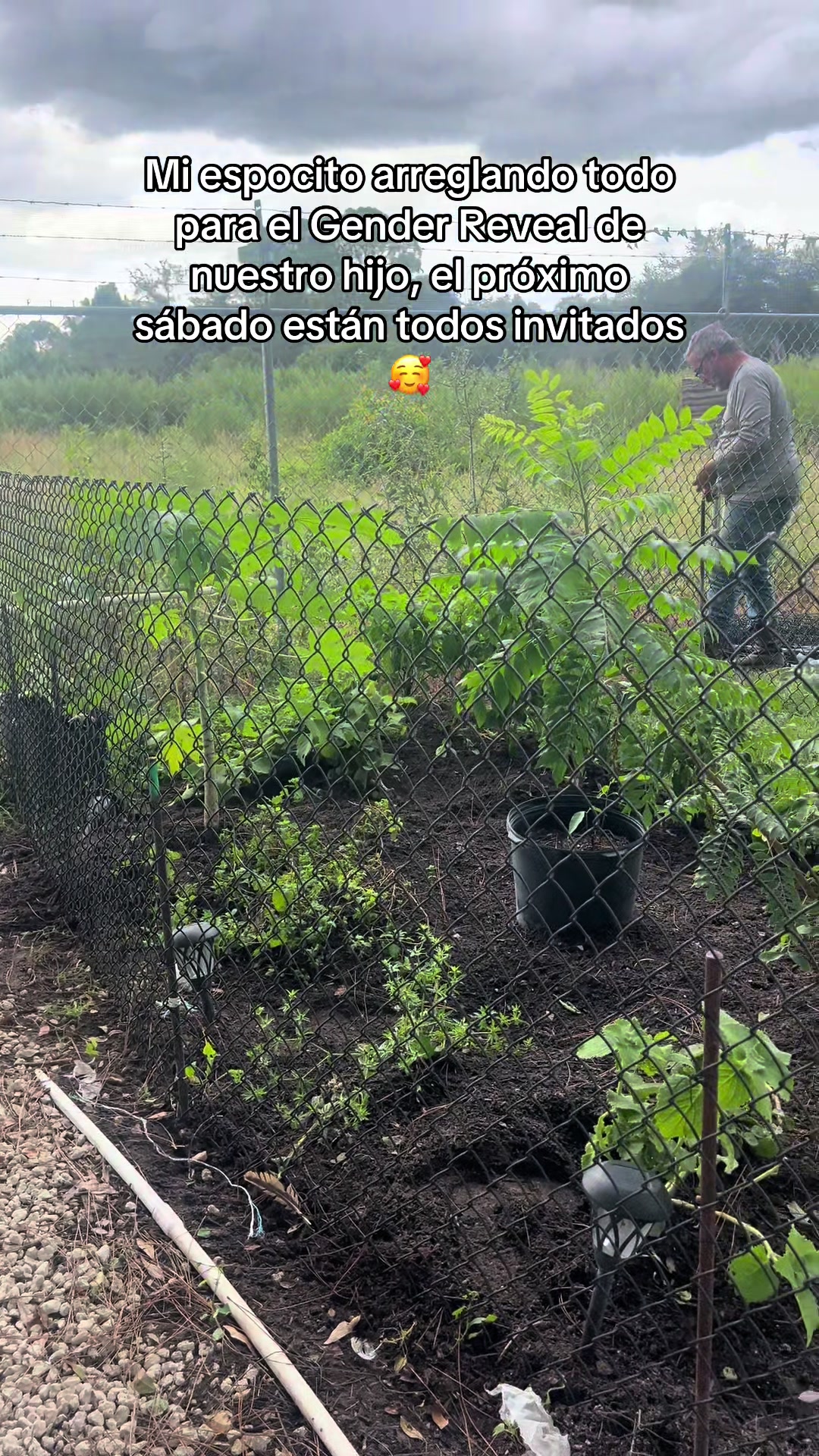 @𝐄ᥣ𝗂ƶαᑲ𝖾𝗍ɦ 𝐀ᥣ𝗏α𝗋𝖾ƶ