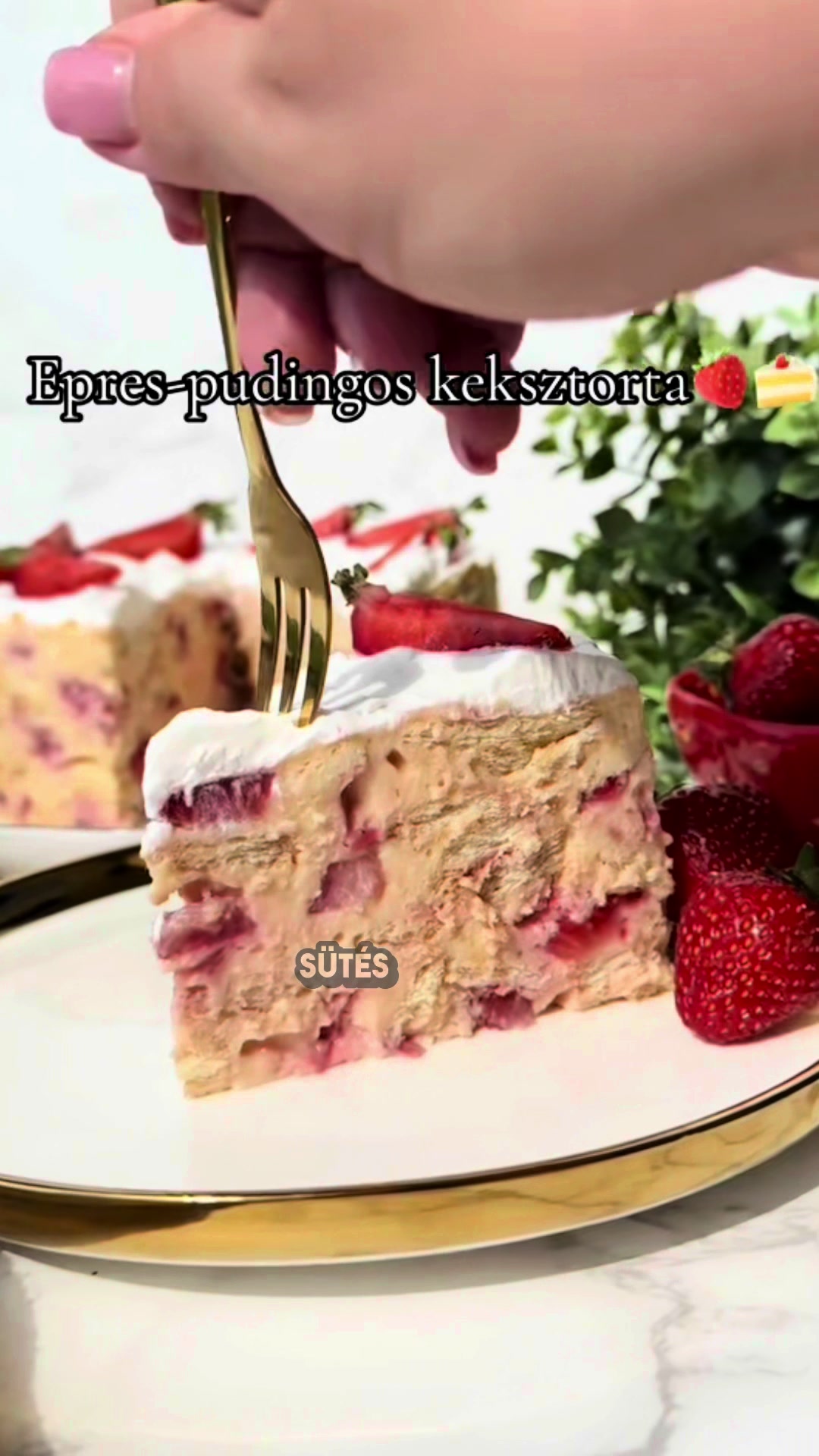 @Juhász Vivien