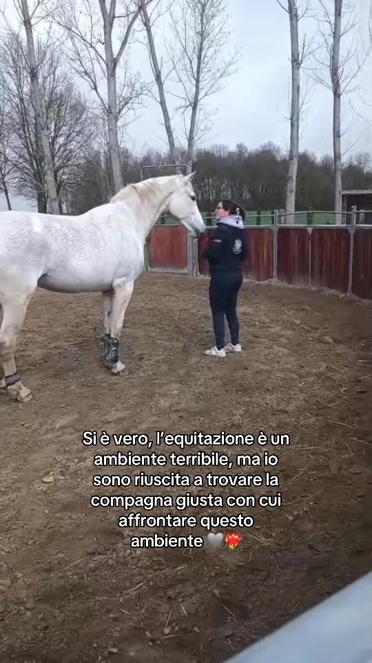 @Marta 🐴