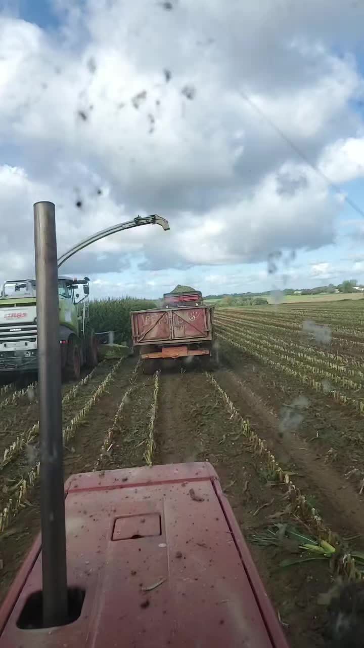 @valentindumetz792