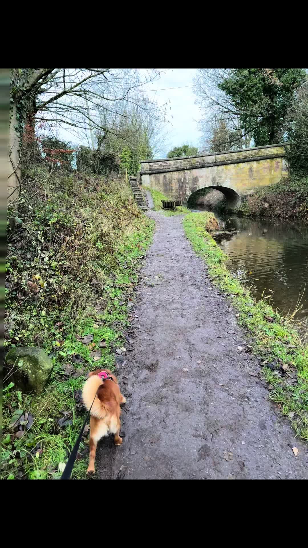 @Emma&rsquo;s Dog Walking