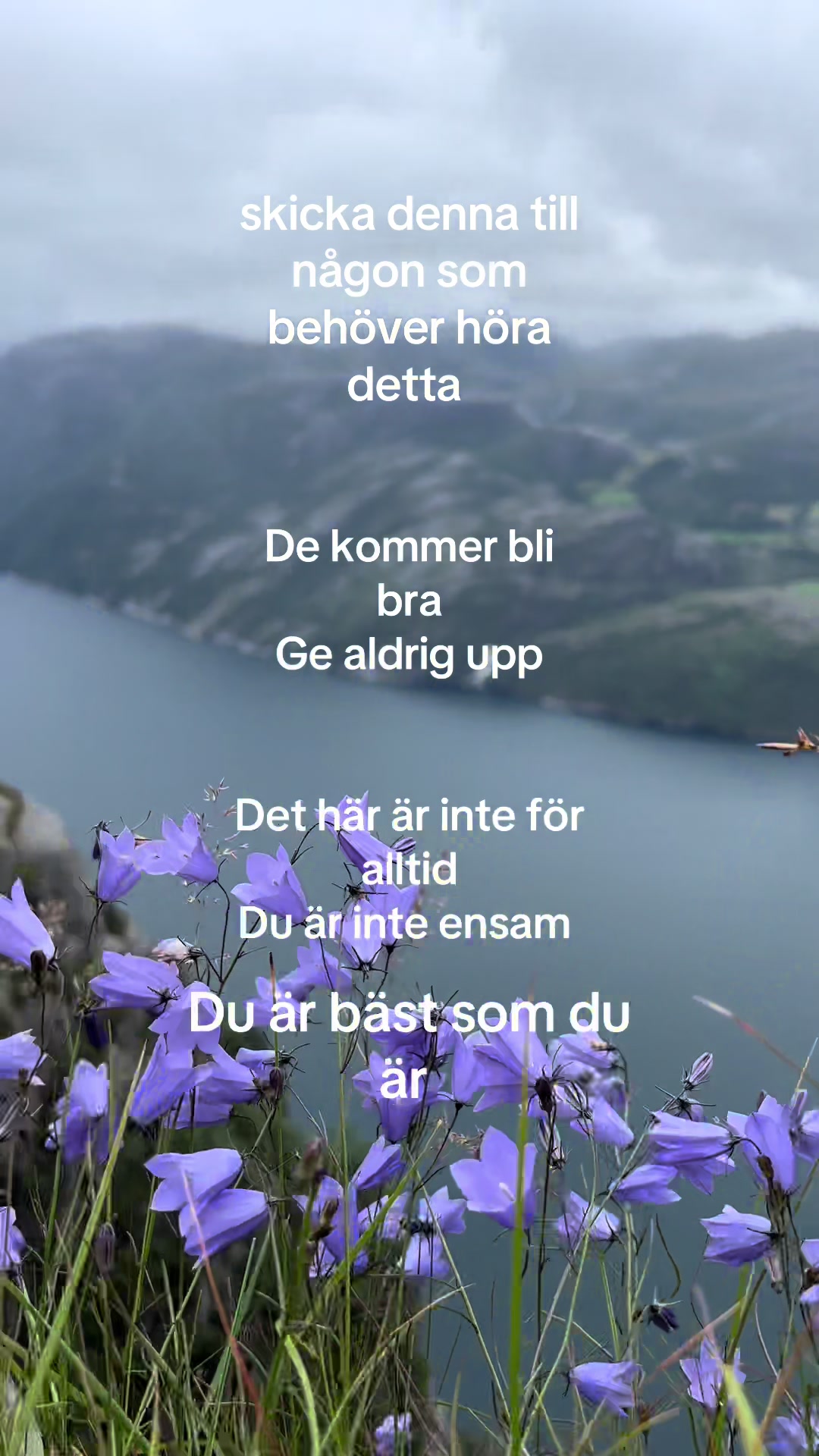 @Tilda💋