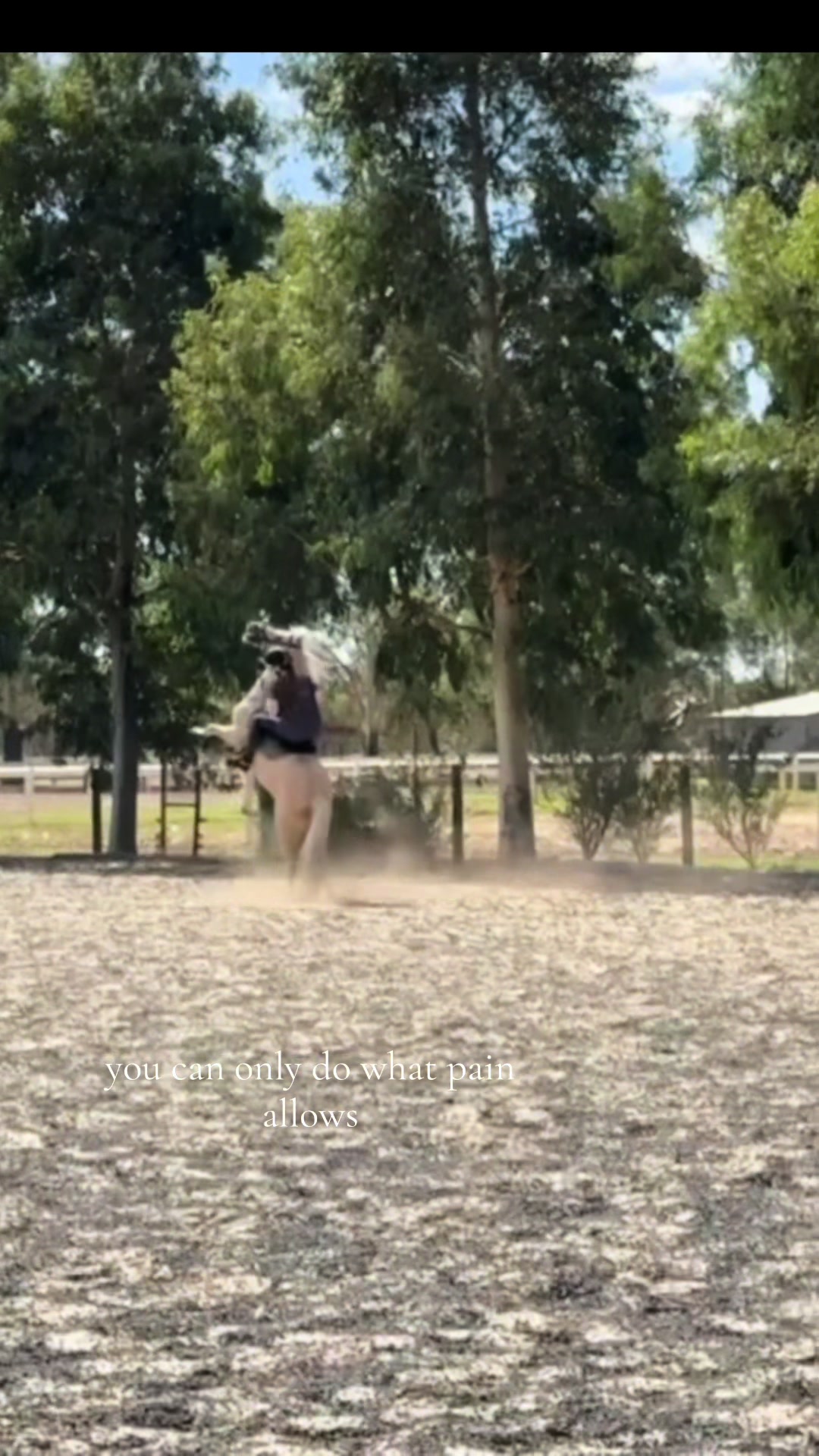 @Nell 🇦🇺💛
