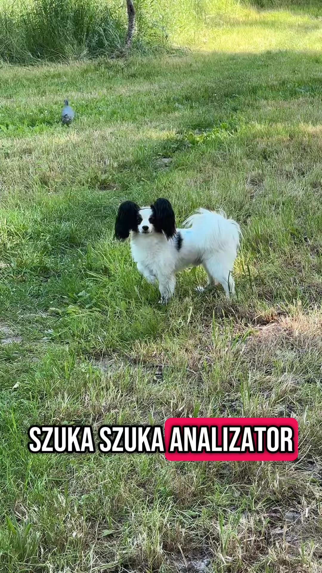 @Martyś 🥳