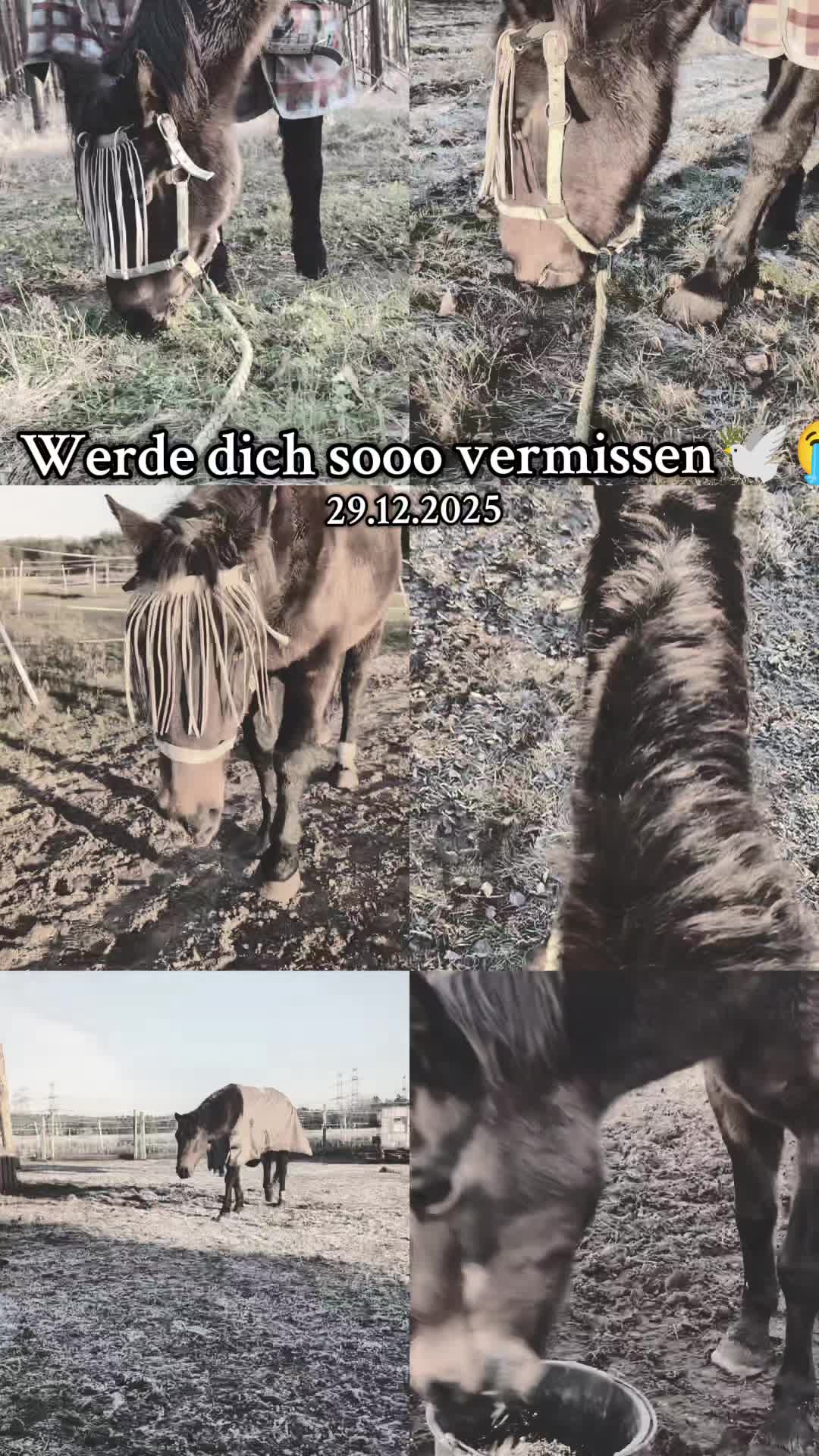 @hxnnxh_nbg
