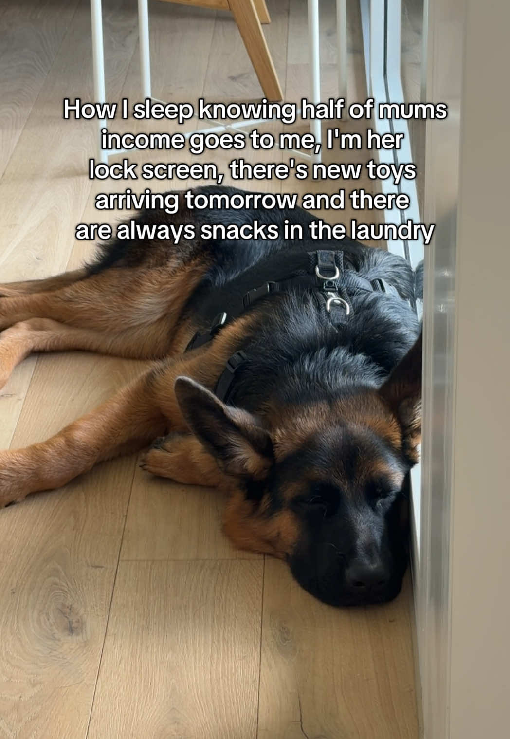 @gsd.kuba