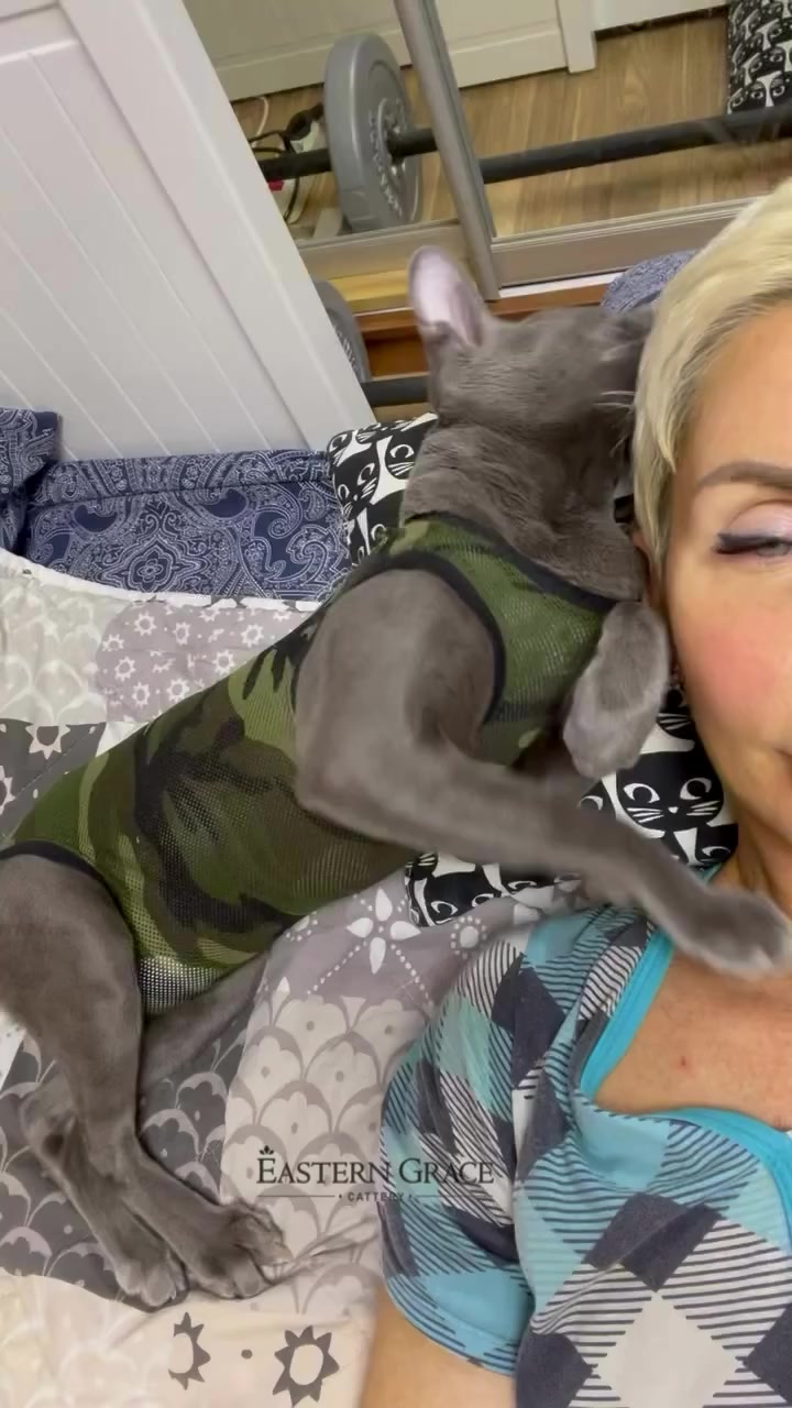 @Anna Zhuk