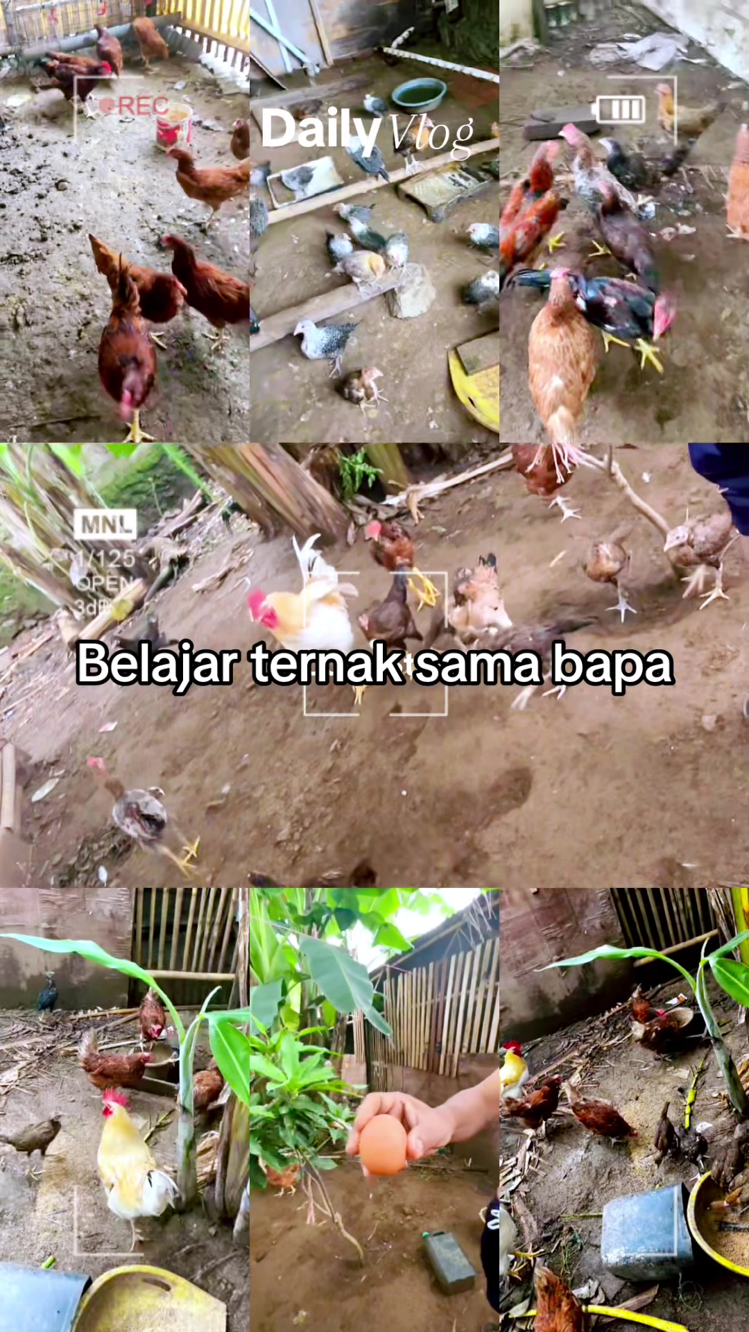 @Faeni oktami