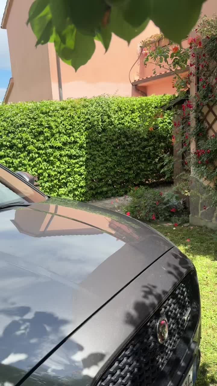 @Afrodite369