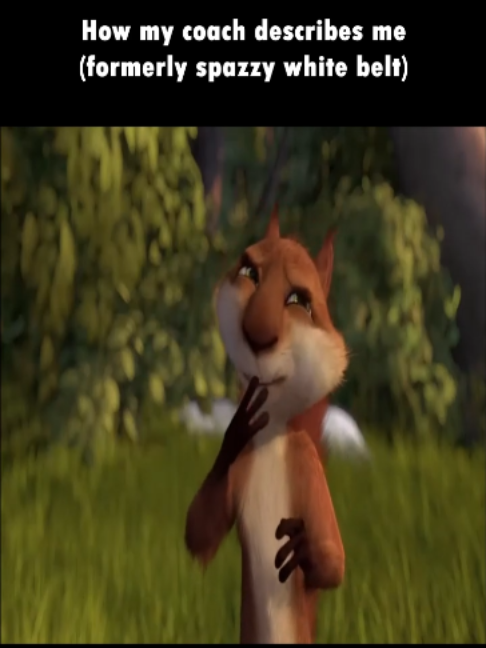 @thechaosbegins