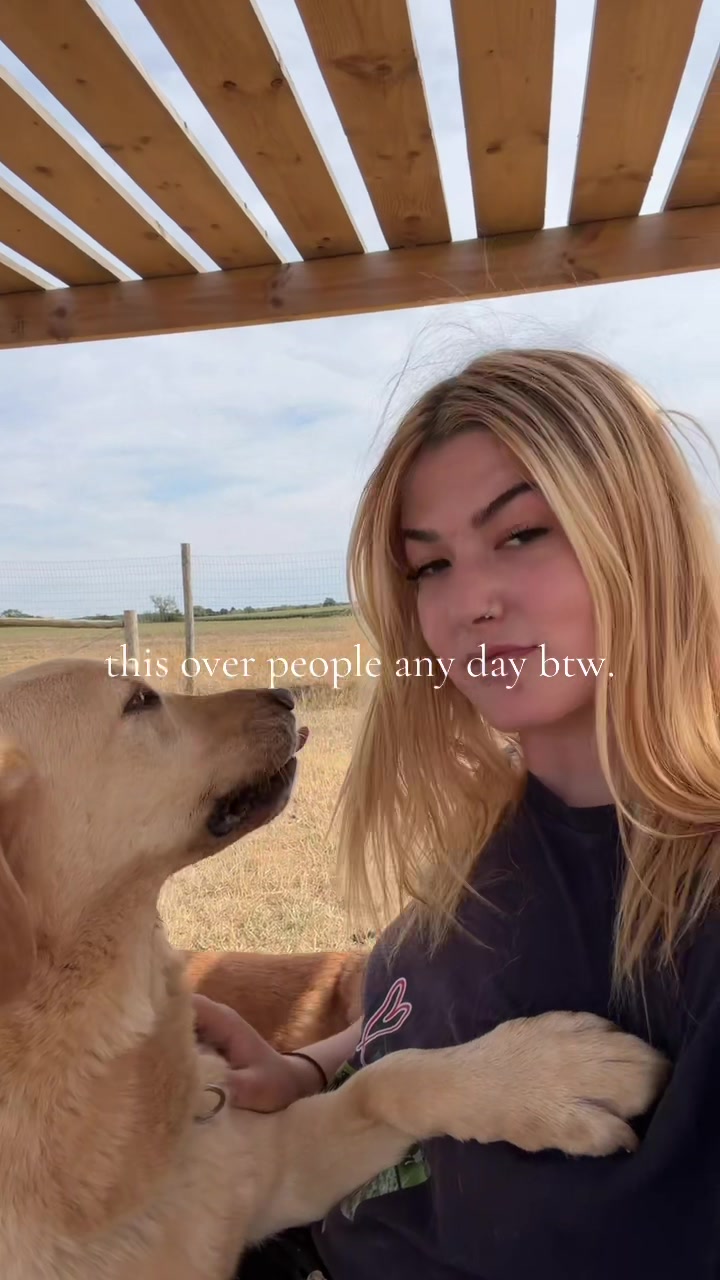 @danibeardall