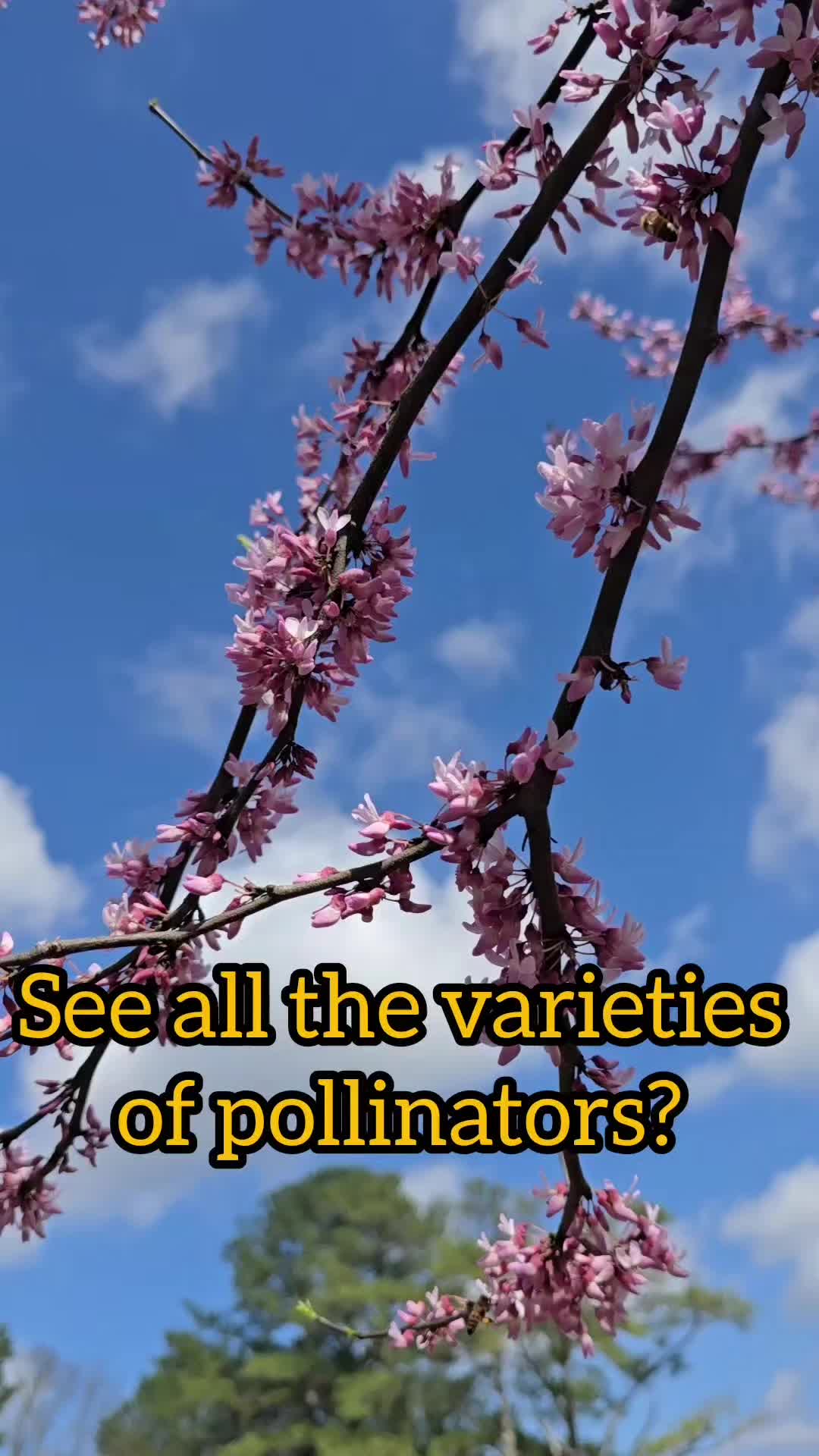 @WholesomeRoots