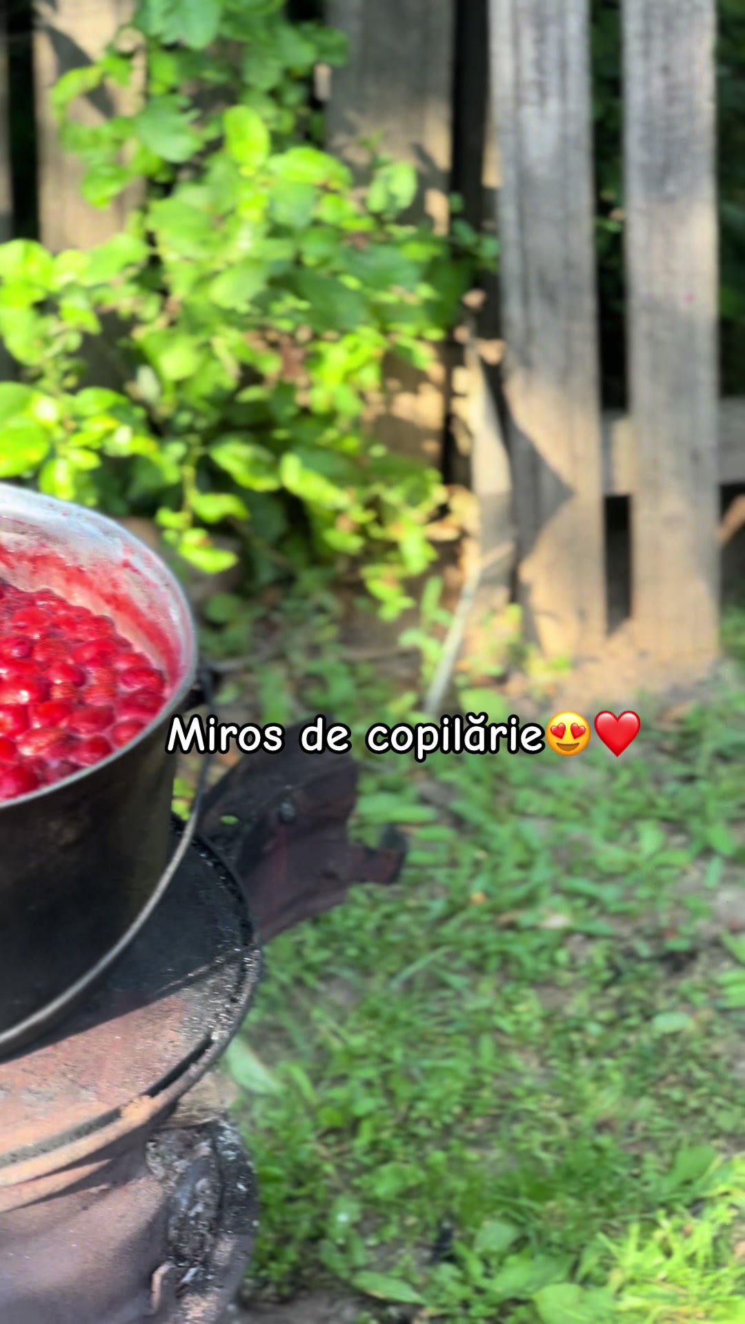 @𝕀𝕦𝕤𝕥𝕚𝕚𝕚👩🏻