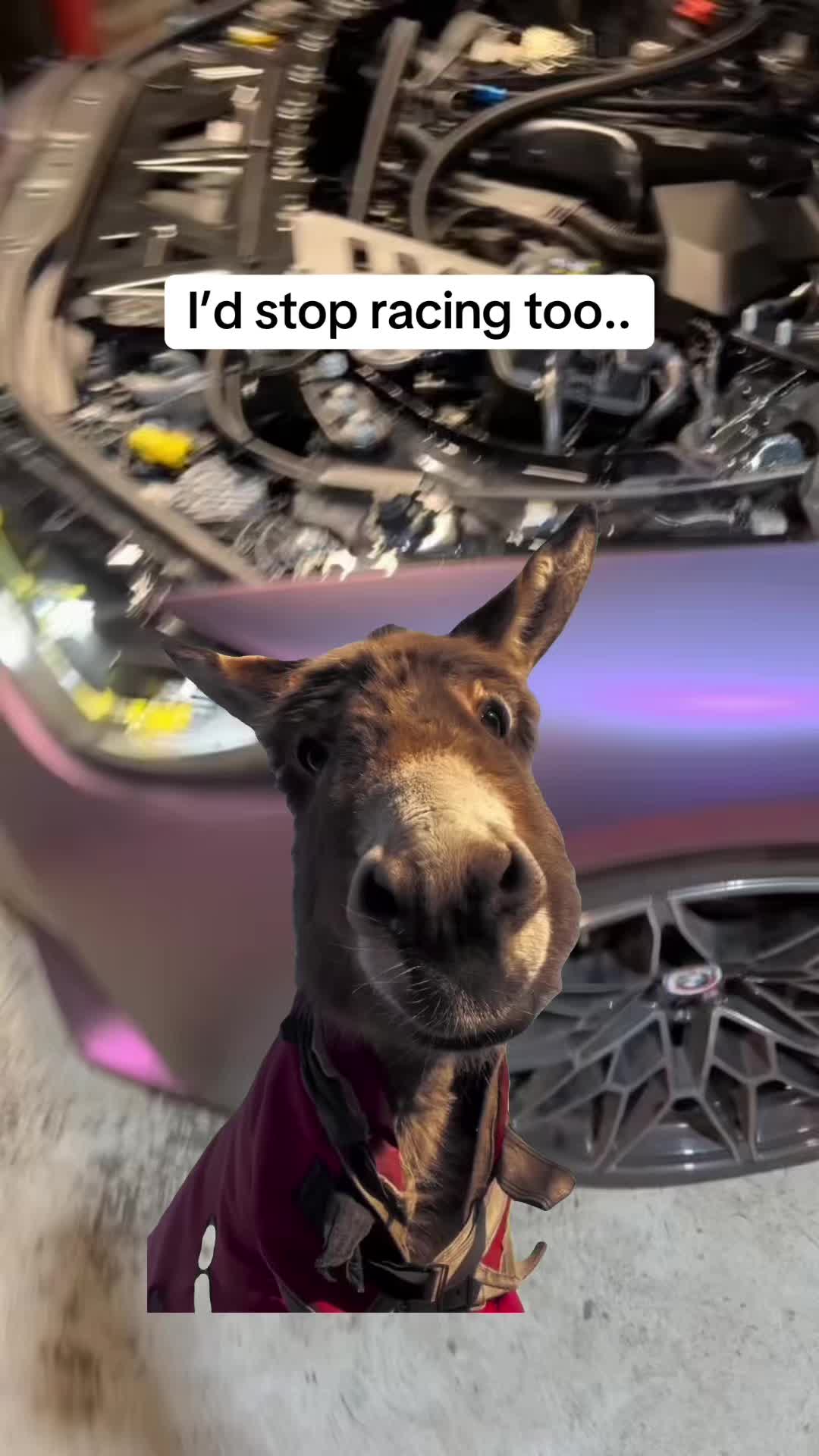 @kingkong_porsche