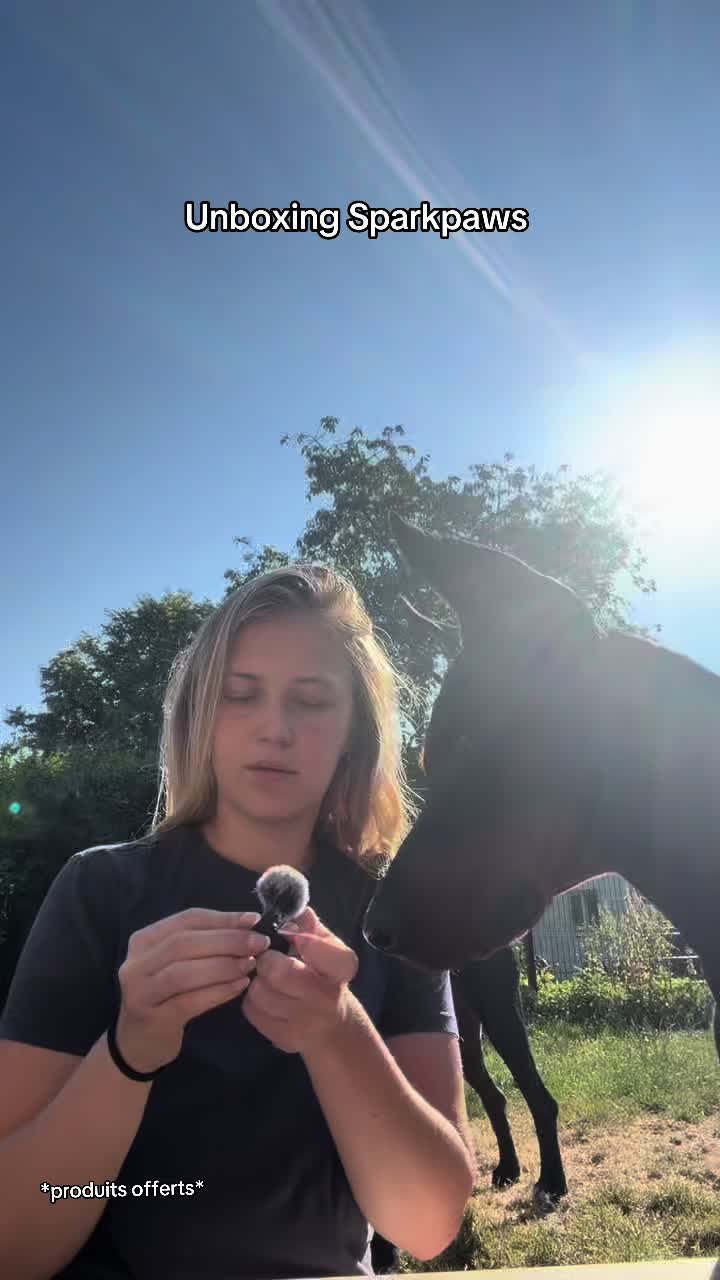 @skayko.ma