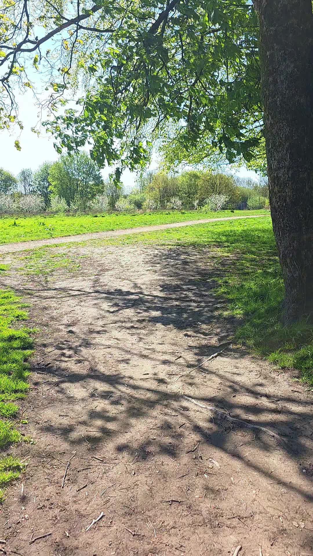 @RAJ1900