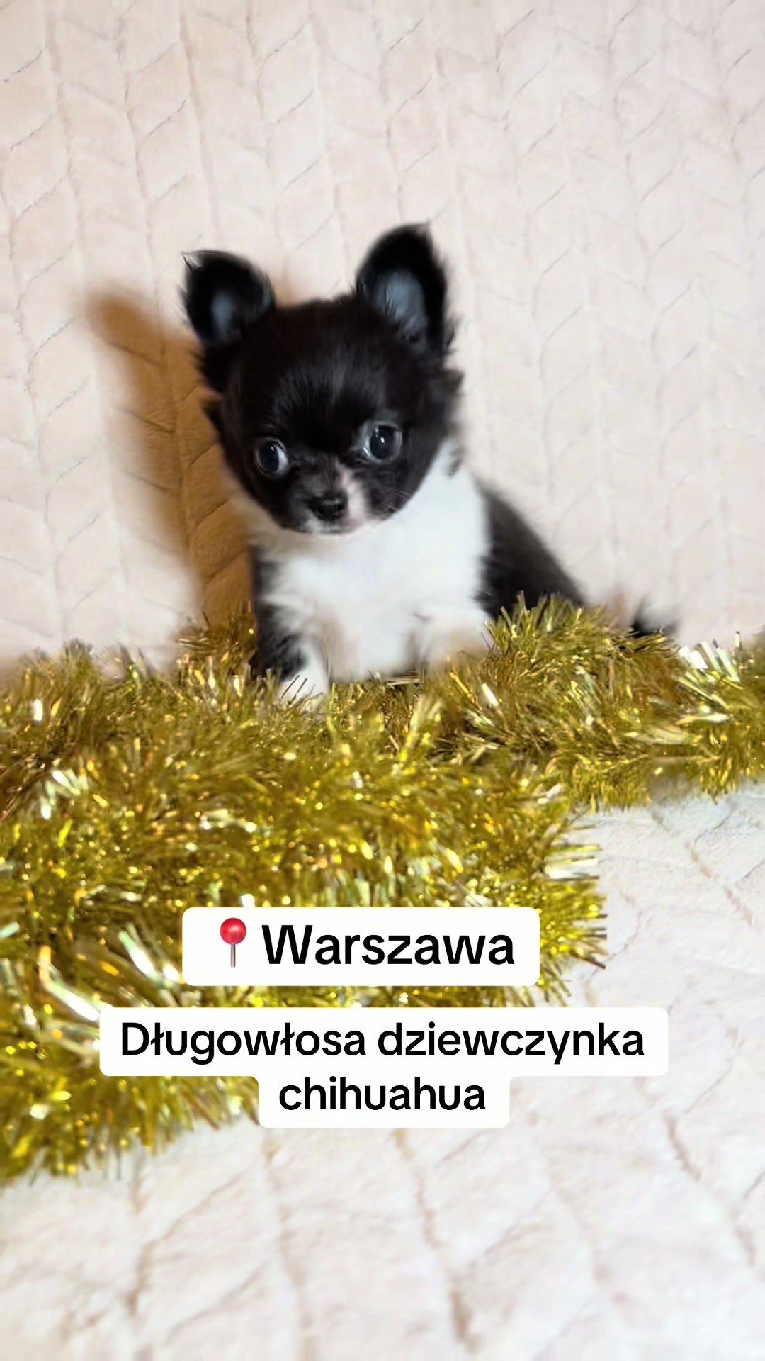 @Ulybki_lilu