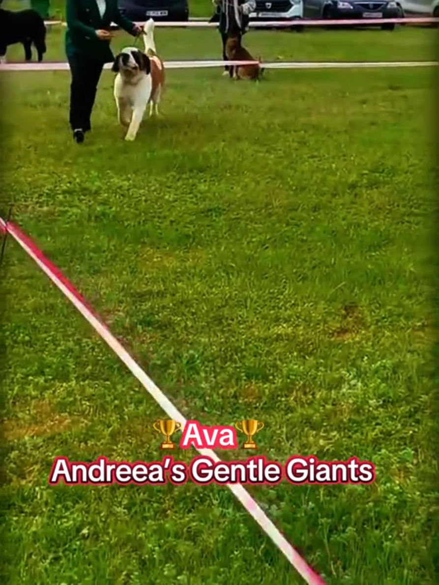 @Iovu Andreea
