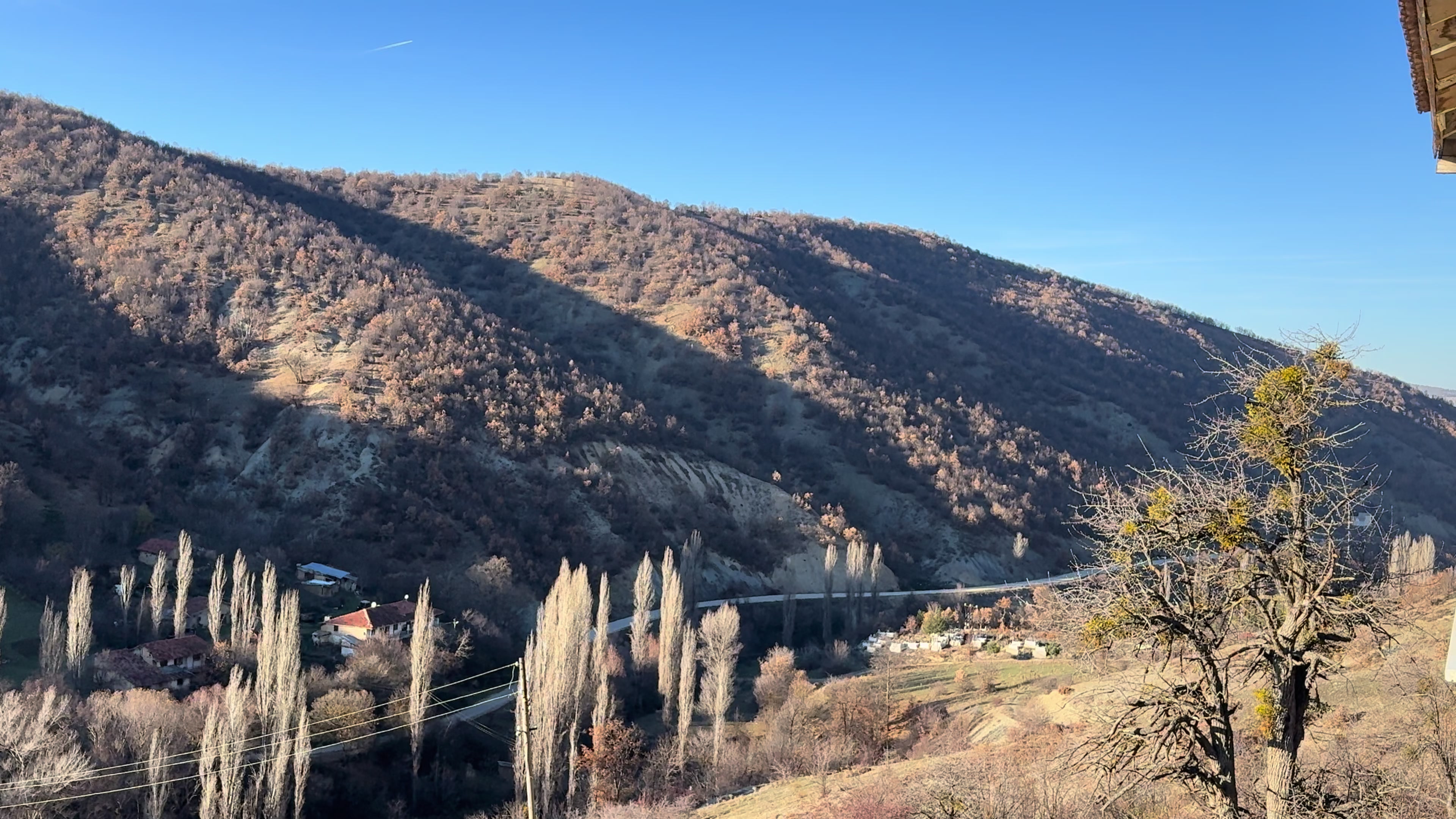@Cemal Adıgüzel