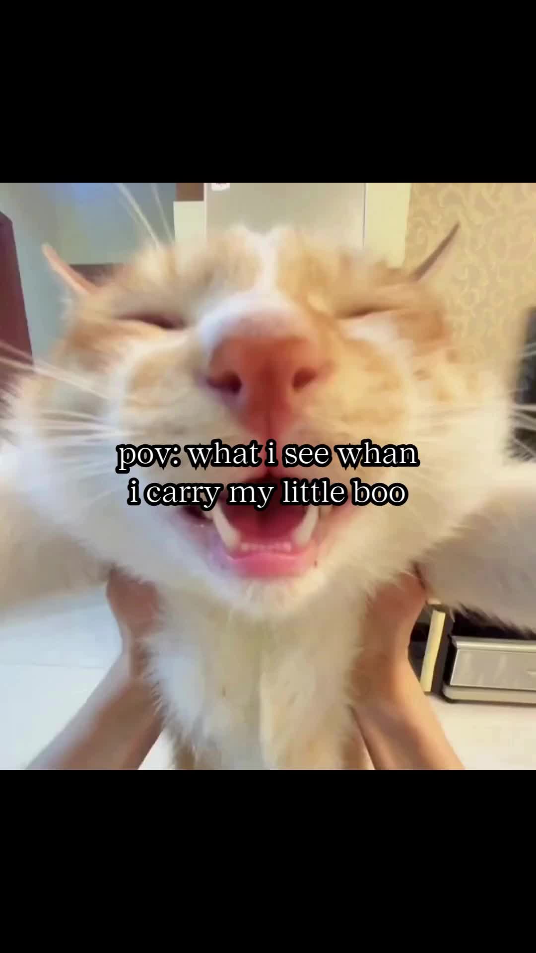 @BabaBear
