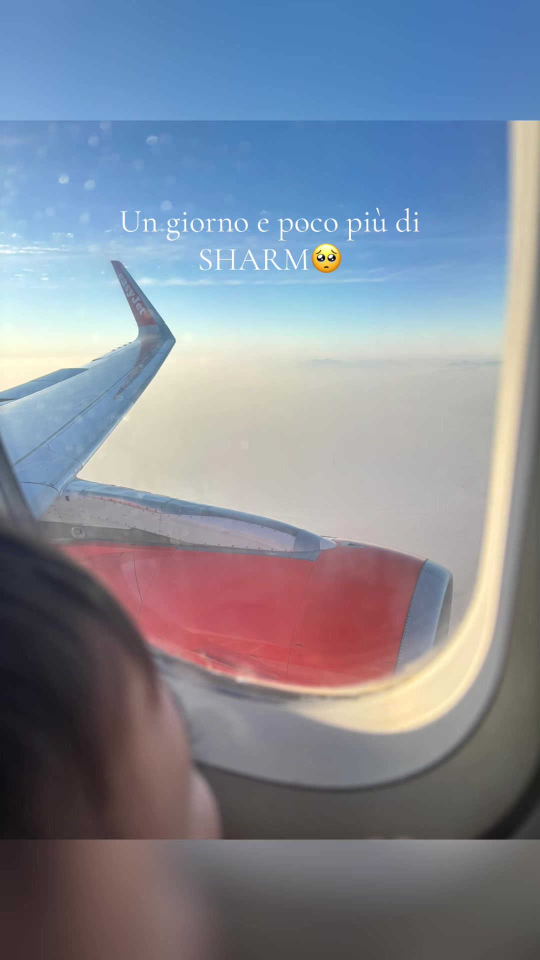 @Teresacaimano92