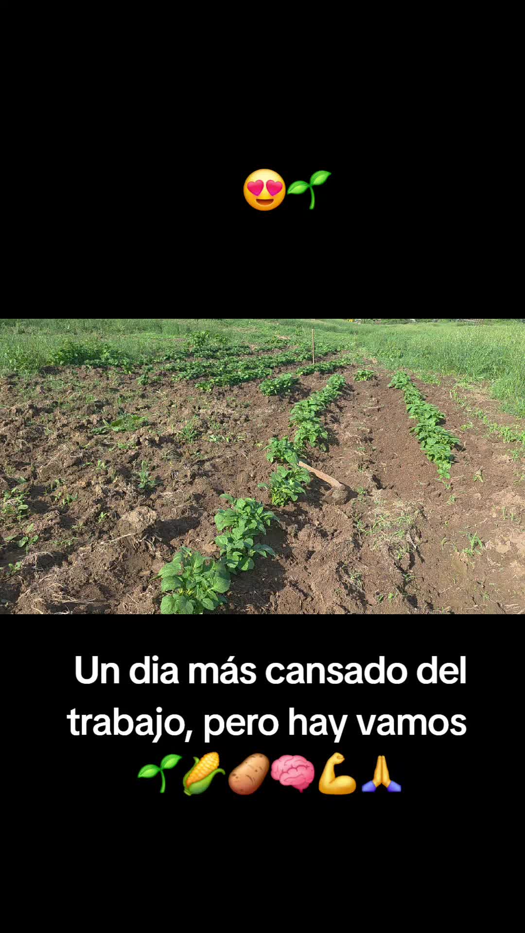@𝙇𝙪𝙞𝙞502👨&zwj;🌾
