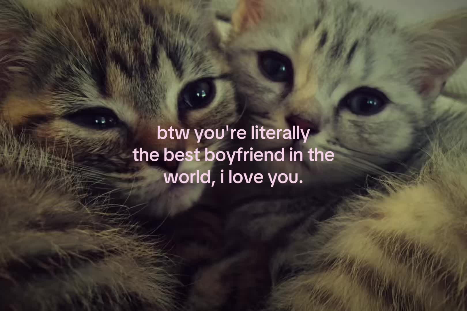 @sxalenz
