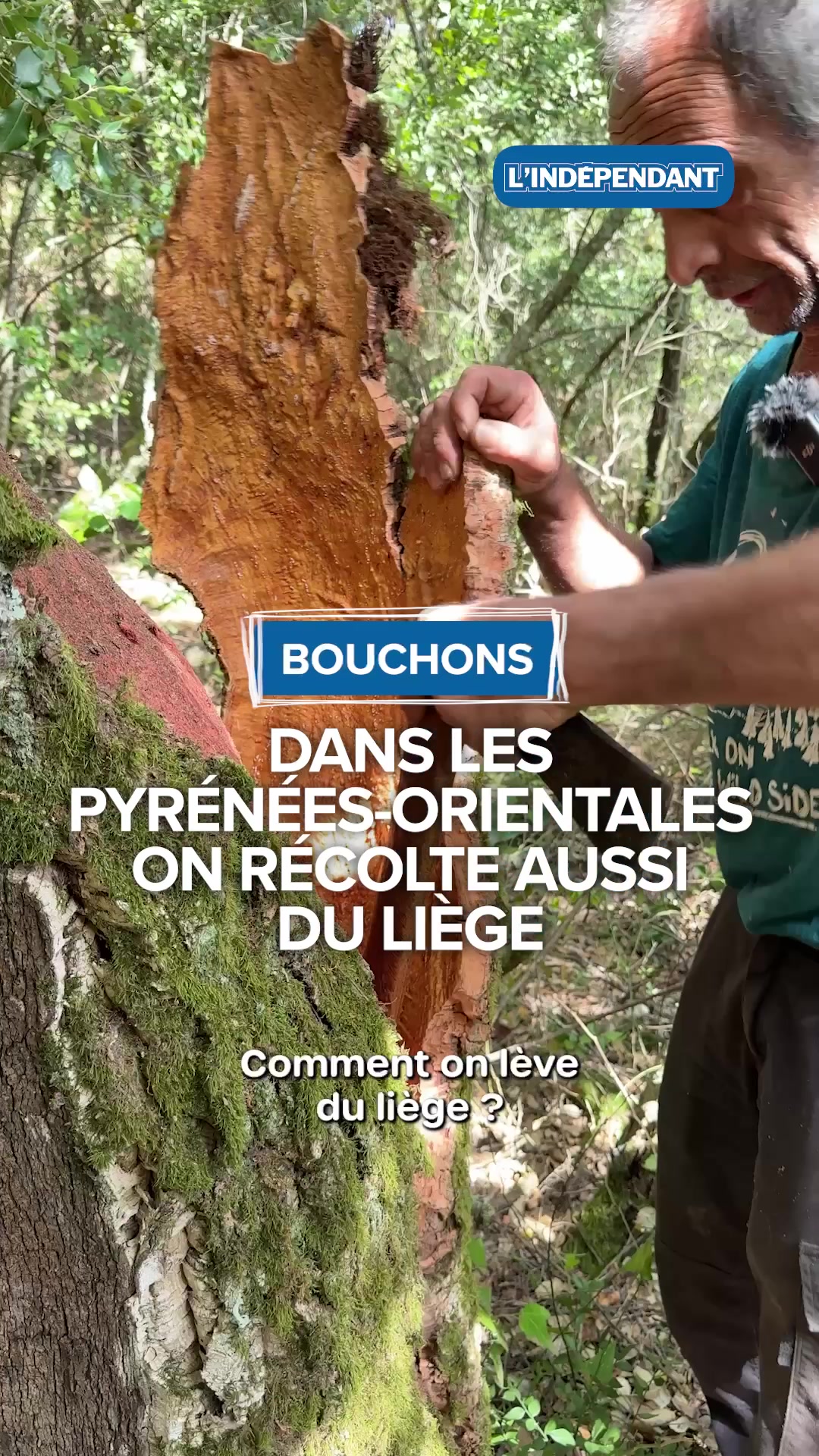 @L'Ind&eacute;pendant