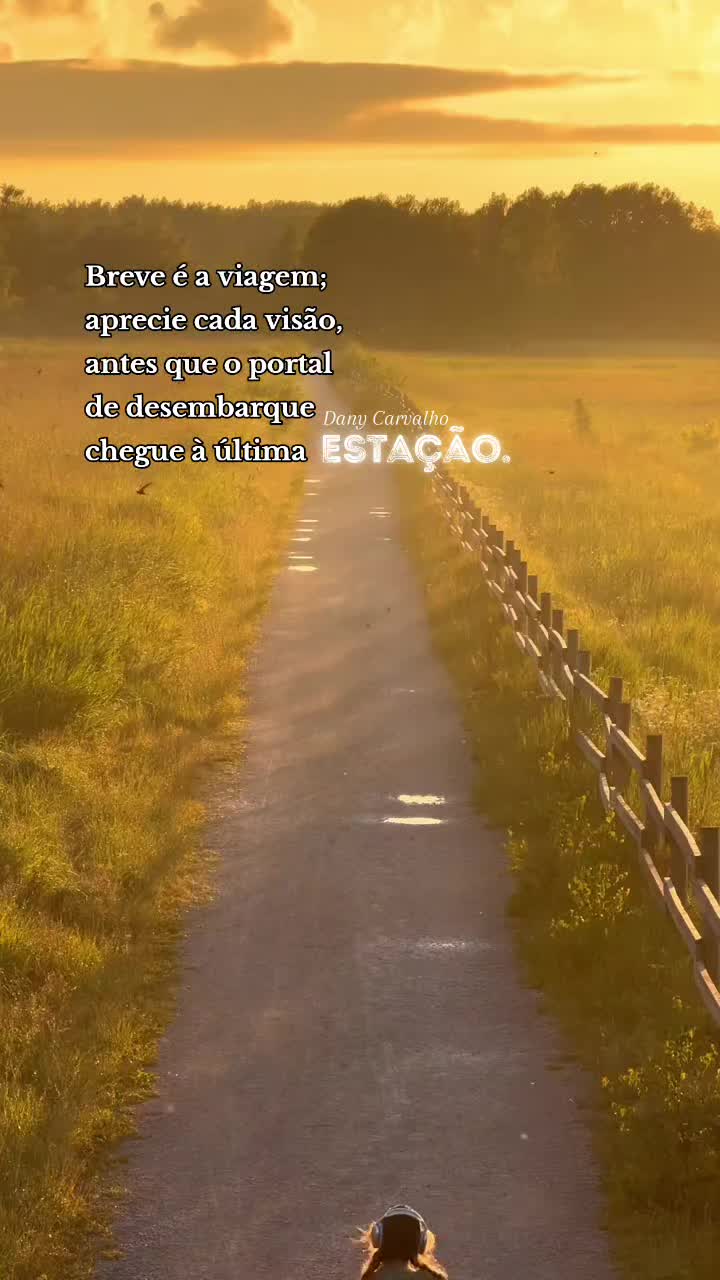 @Dany Carvalho✍️