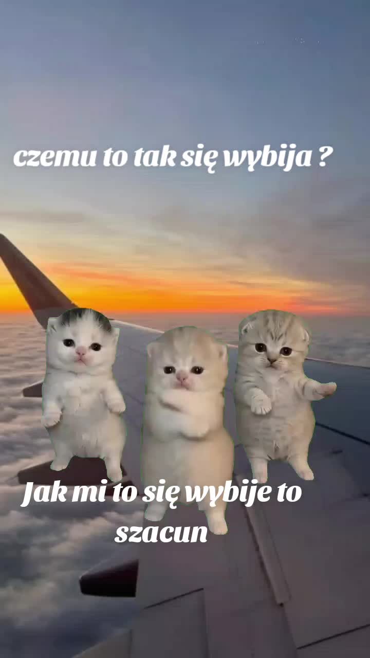 @Zuz_kq🌸🌺