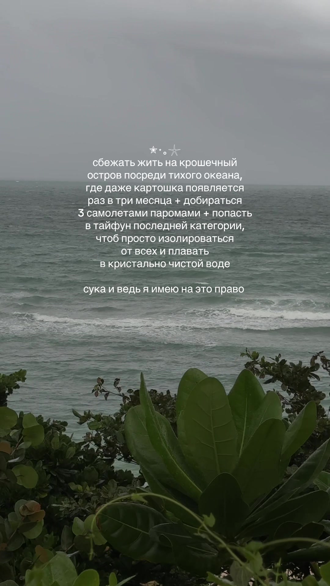 @яна js