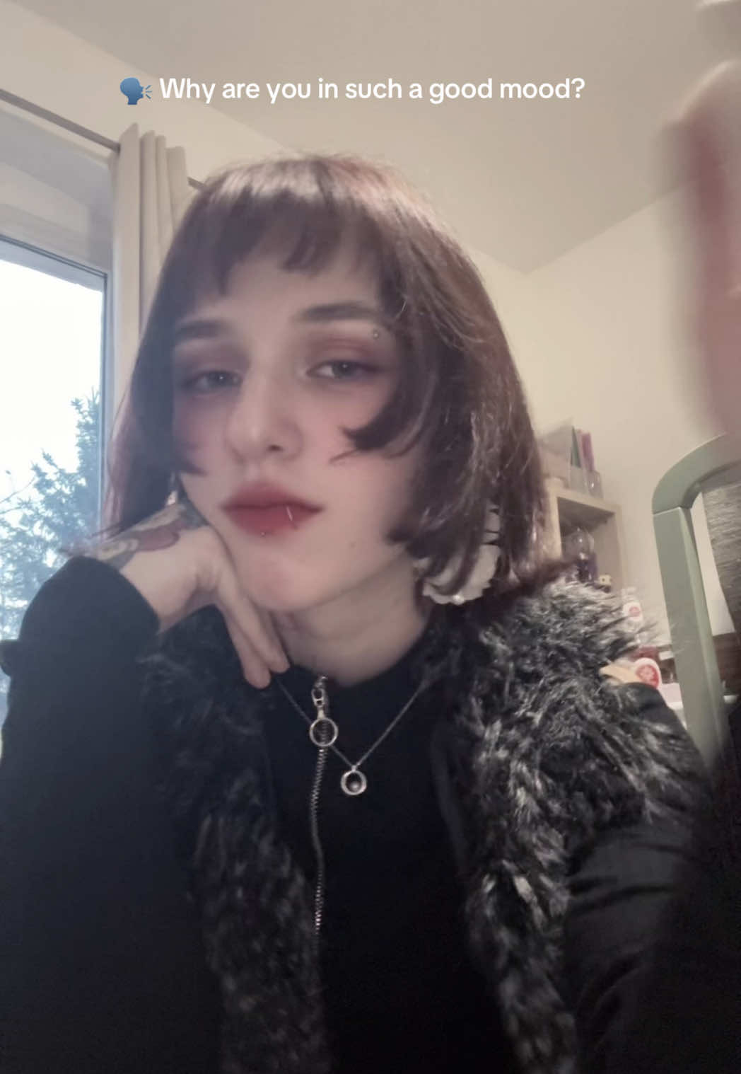@_meow_MIA.com🌙⁷