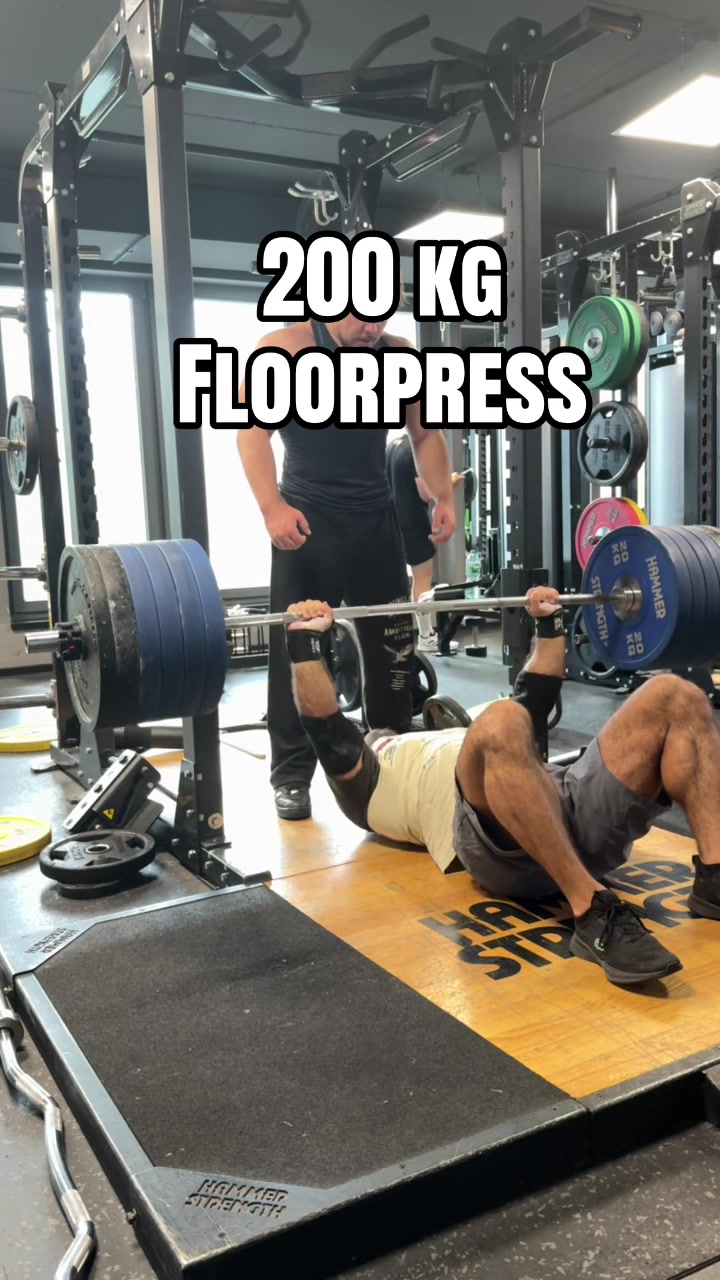 @Reza_silverback