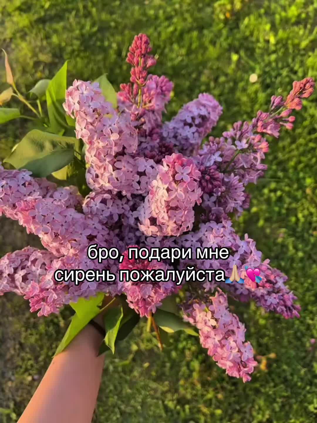 @синицина бурмалда$$
