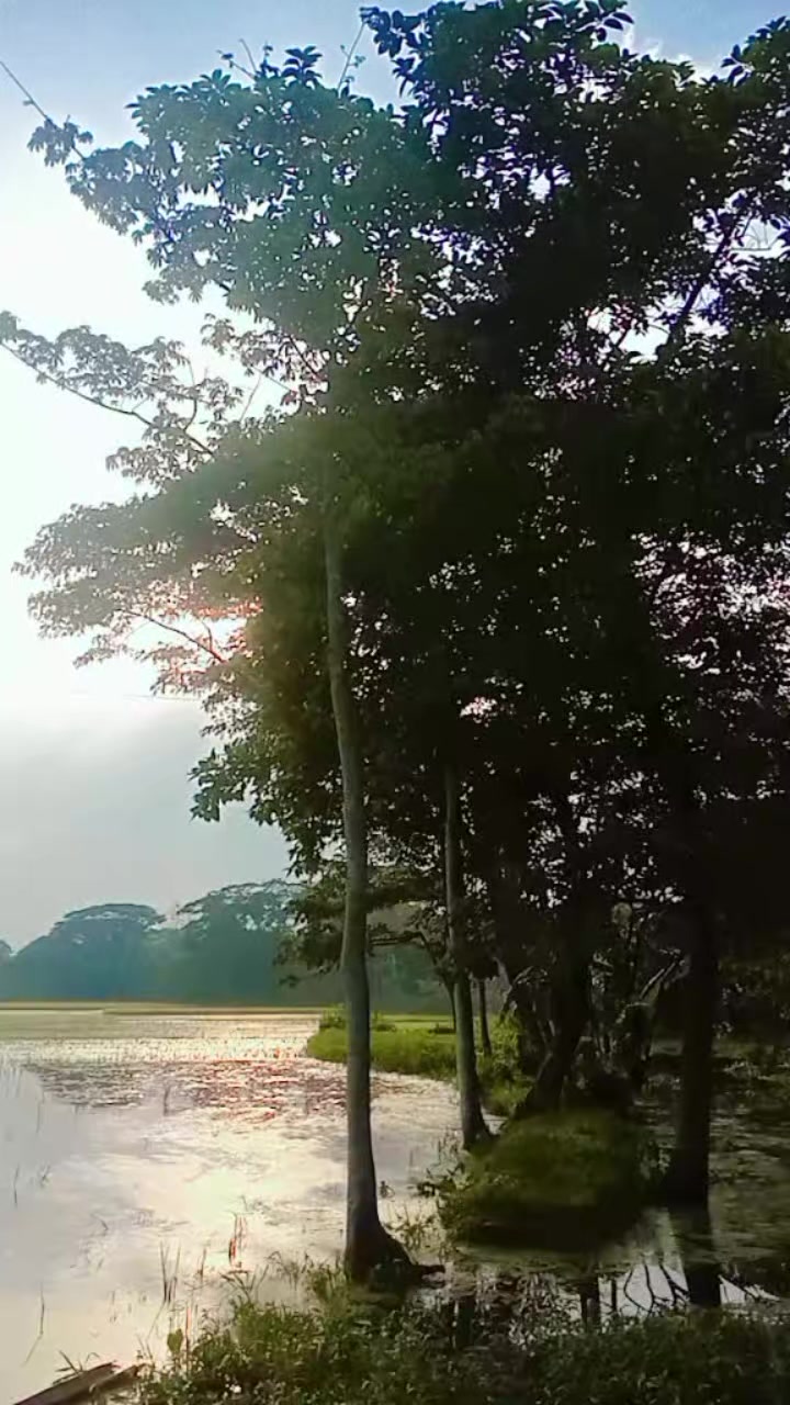 @কাতার প্রবাসীর বউ** jannatul