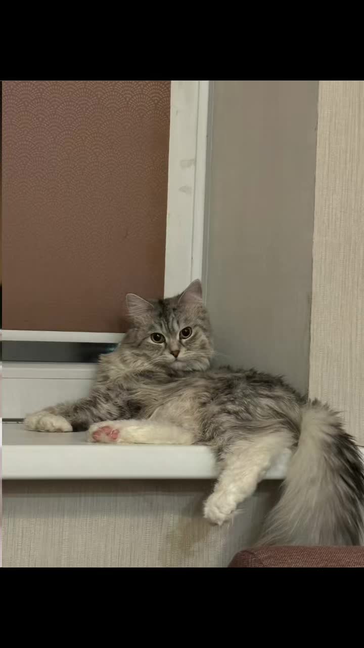 @даюша⭐️