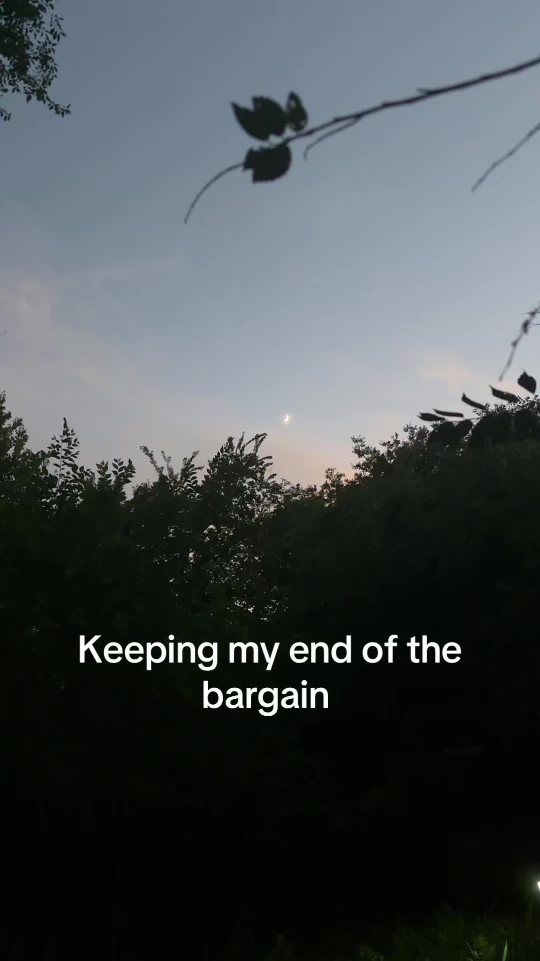 @Mae