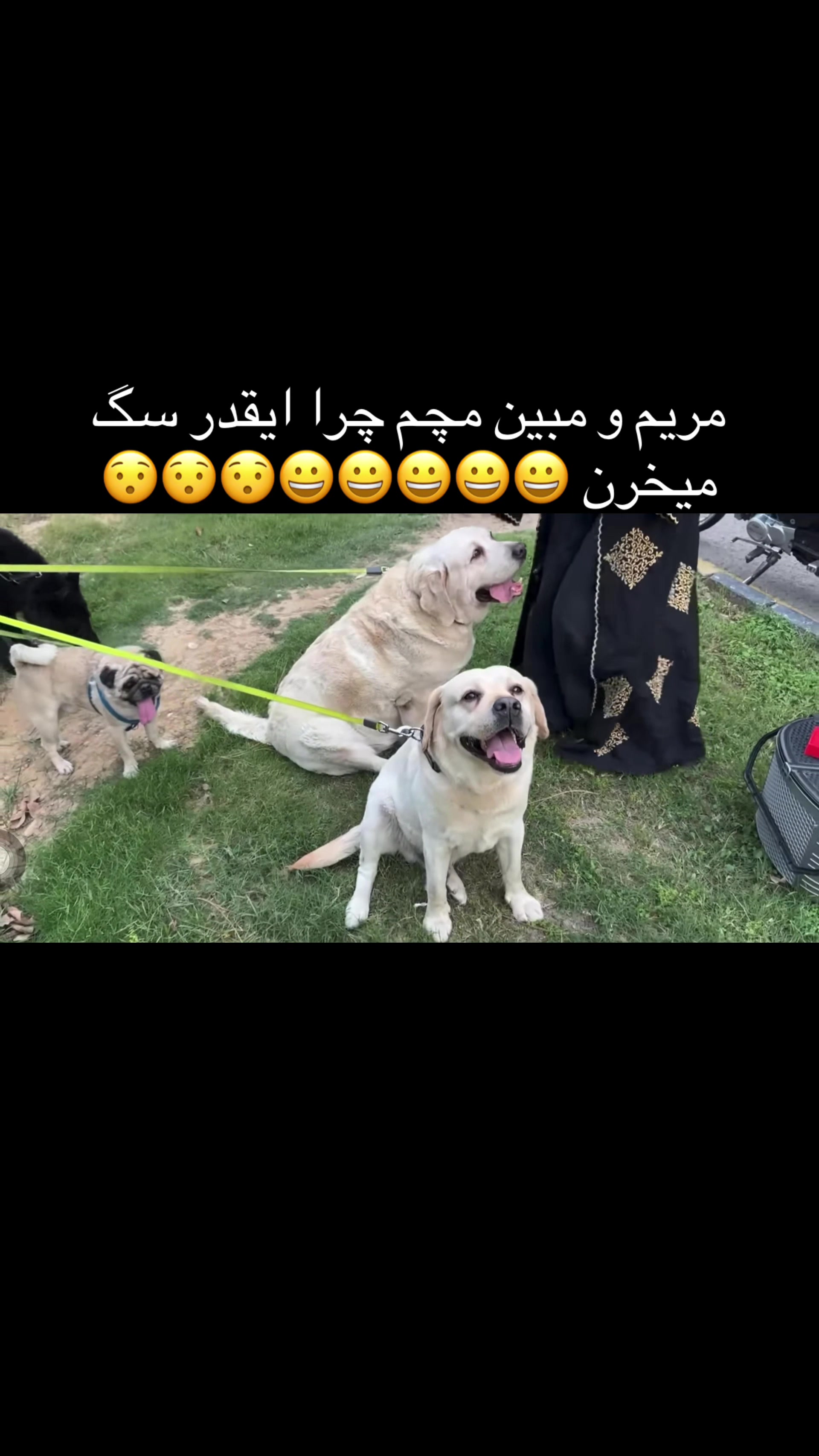 @Maleka