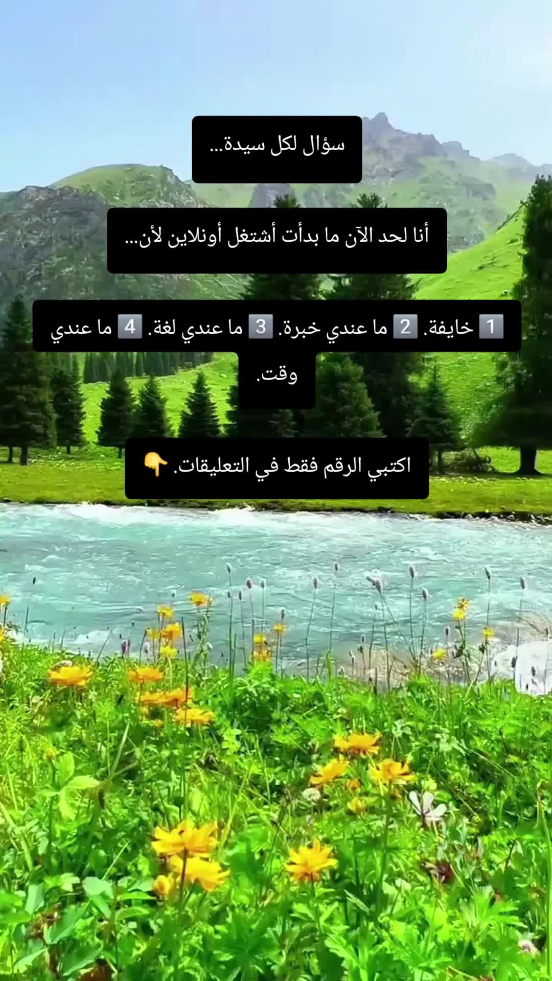 @Aminaalkawarit