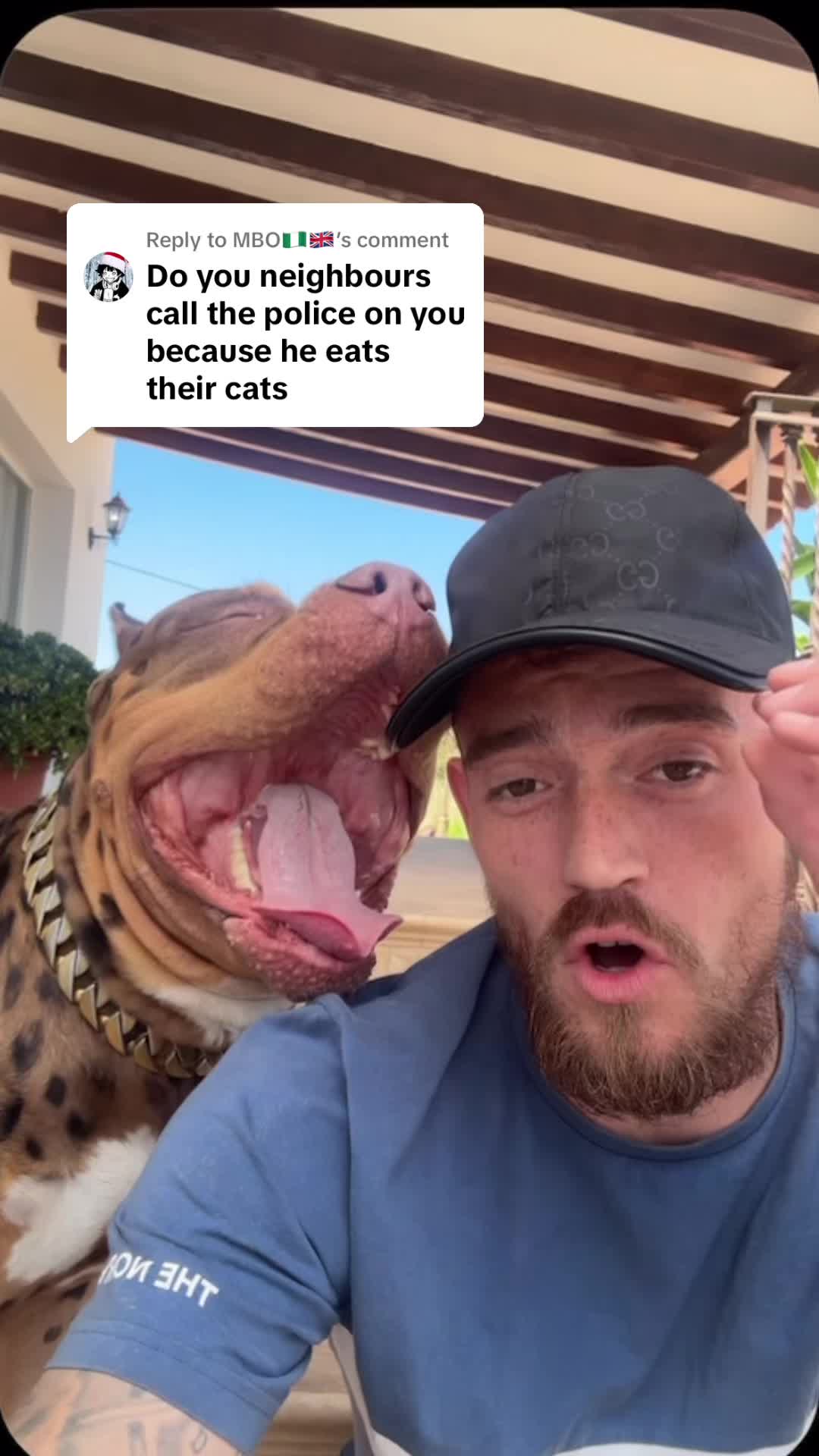 @deanthedogman1