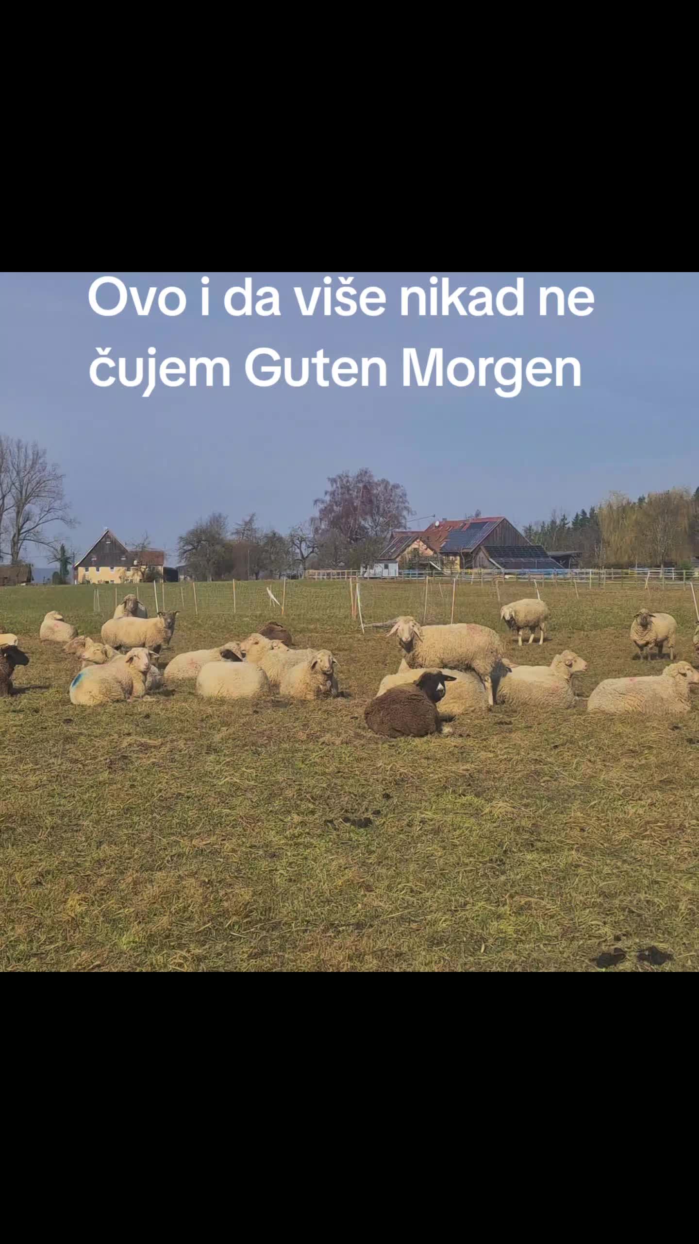 @Bosanka_🇧🇦U🇧🇦_srcu 🌷