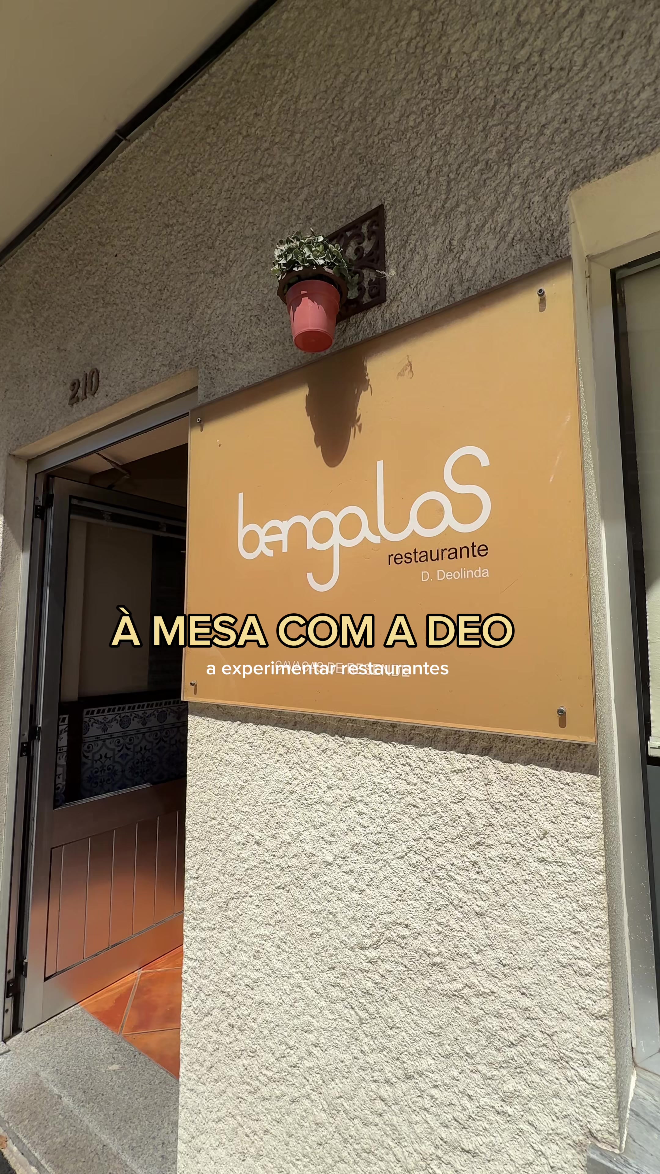 @cantodadeo