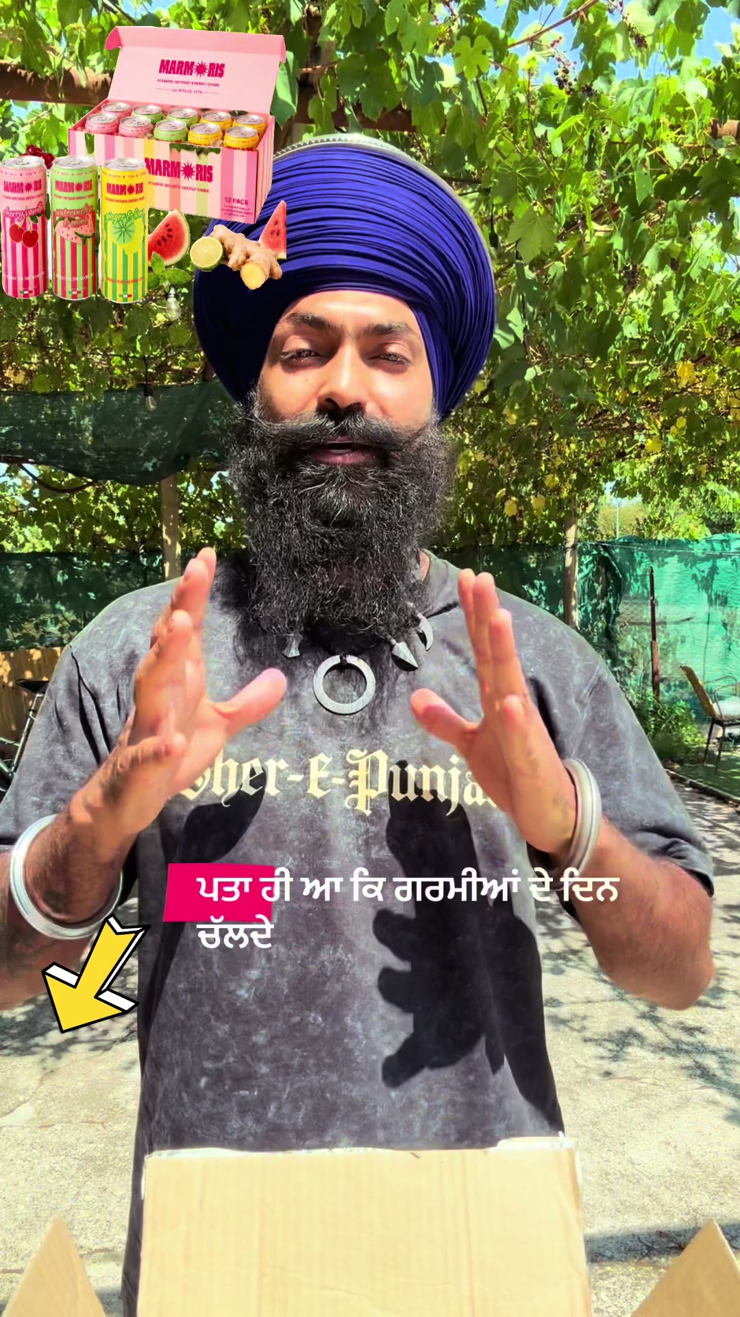 @baaj singh nihangh 🦅❤️🐎